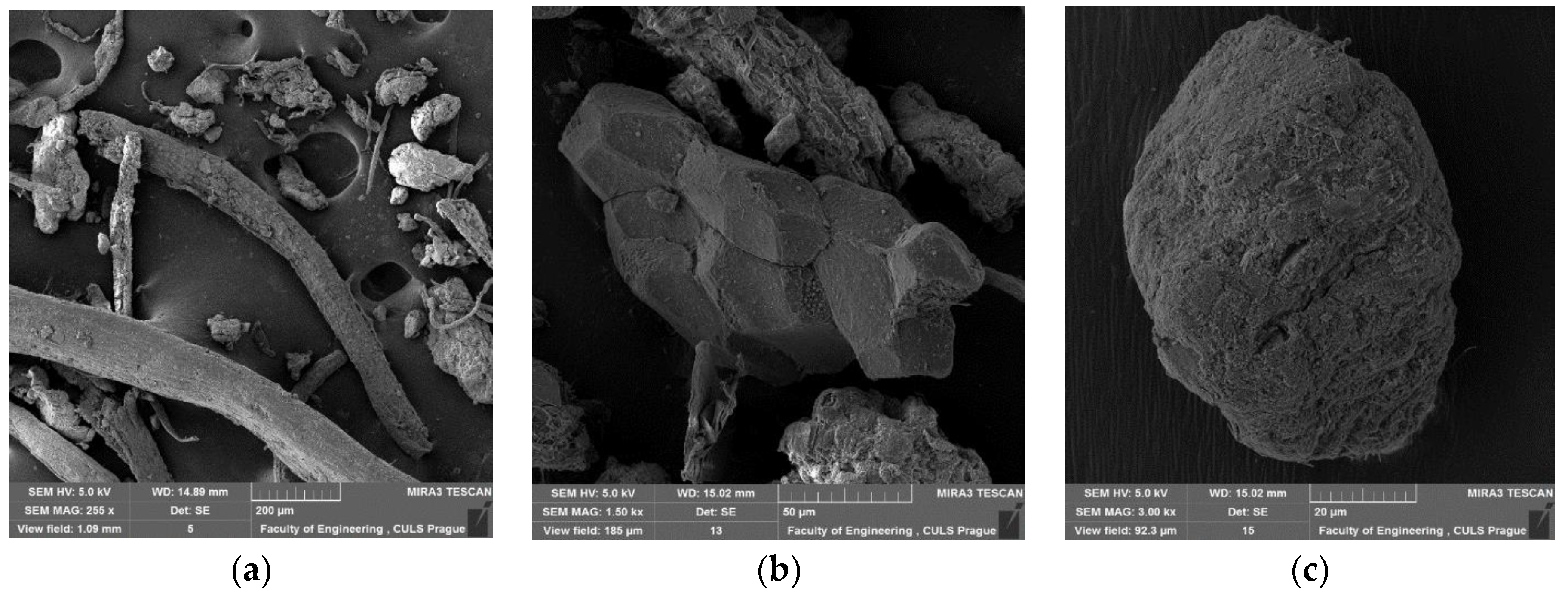 Sustainability 10 04443 g010