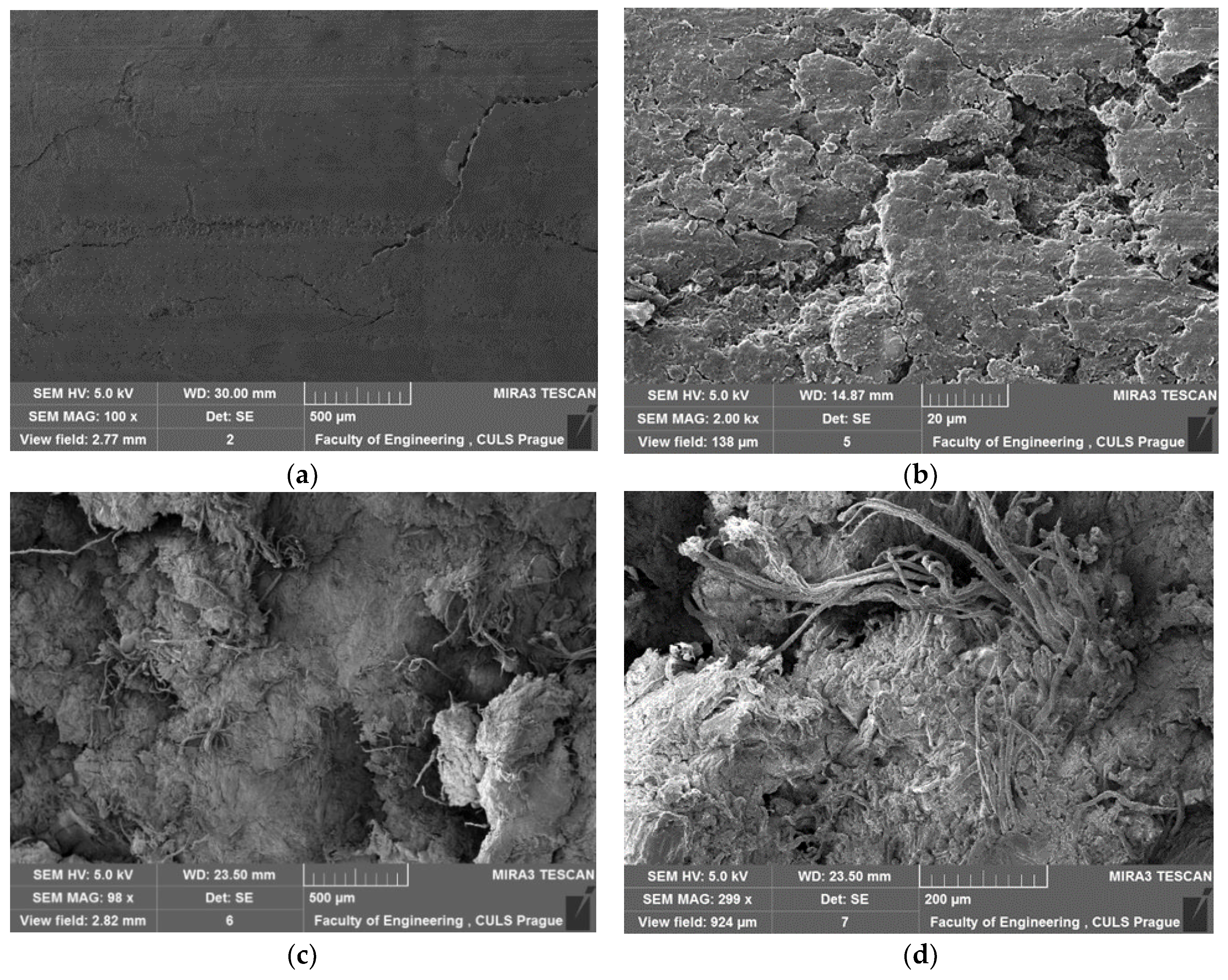 Sustainability 10 04443 g011