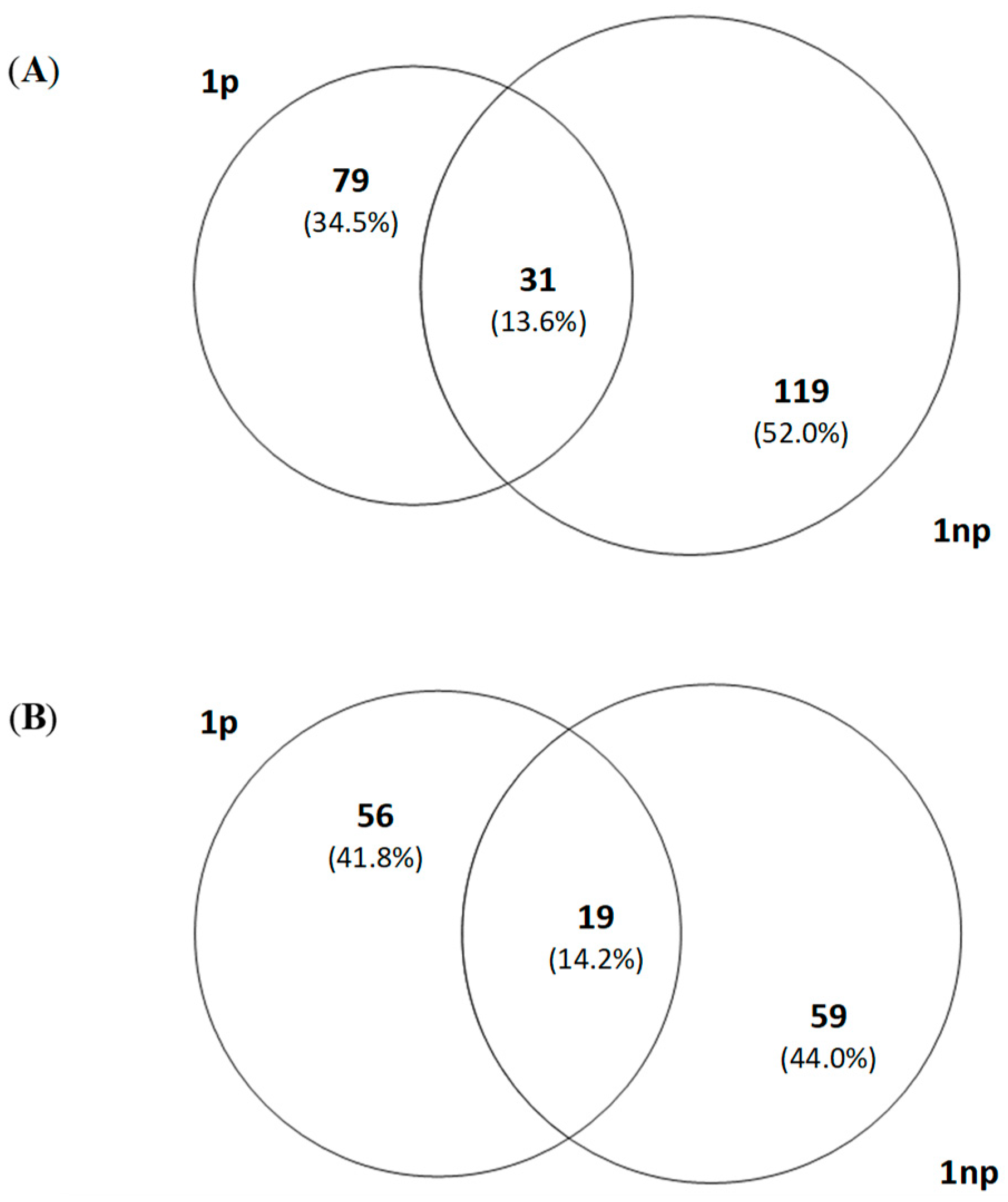 Sustainability 11 00632 g004