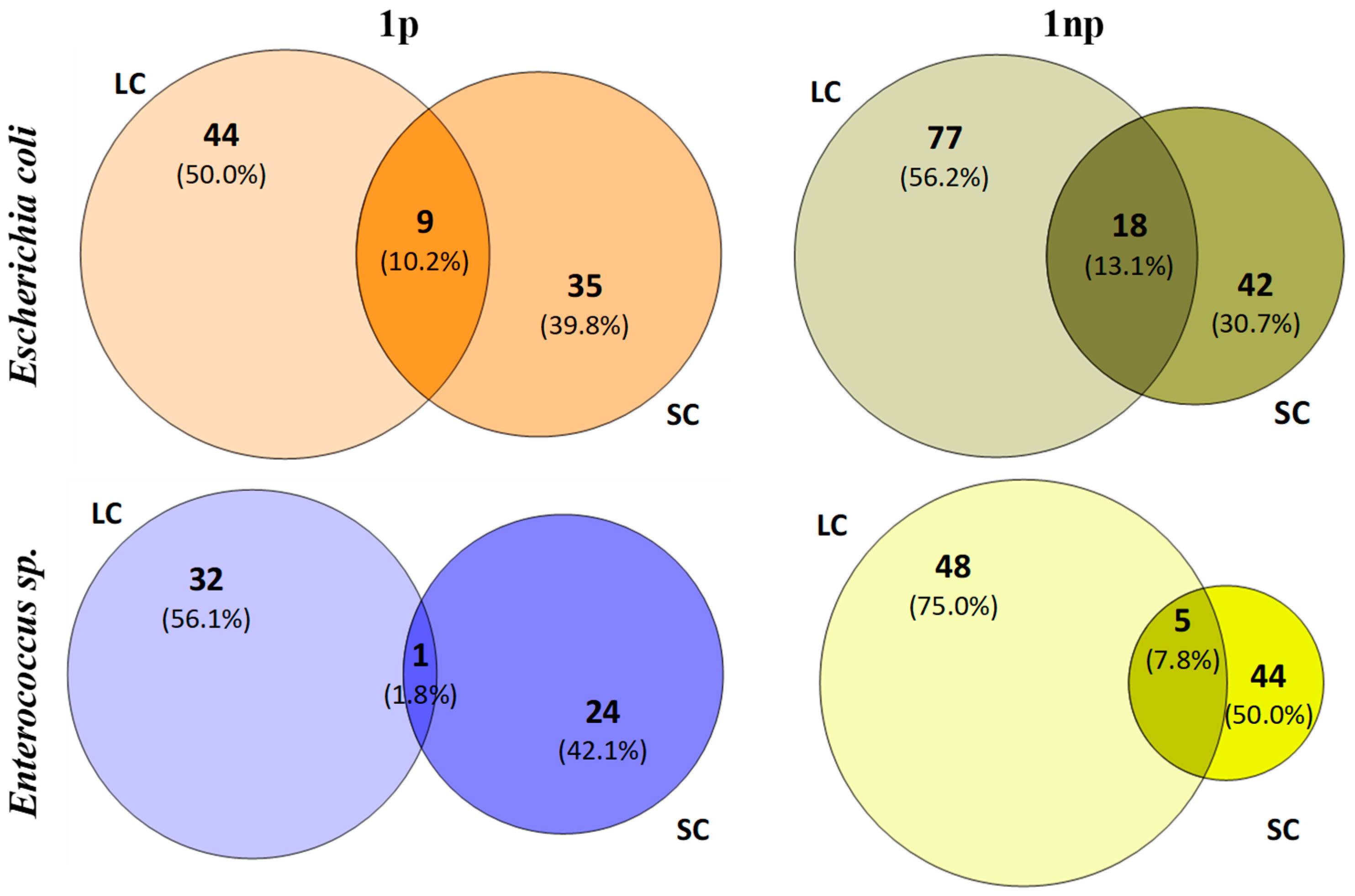 Sustainability 11 00632 g006