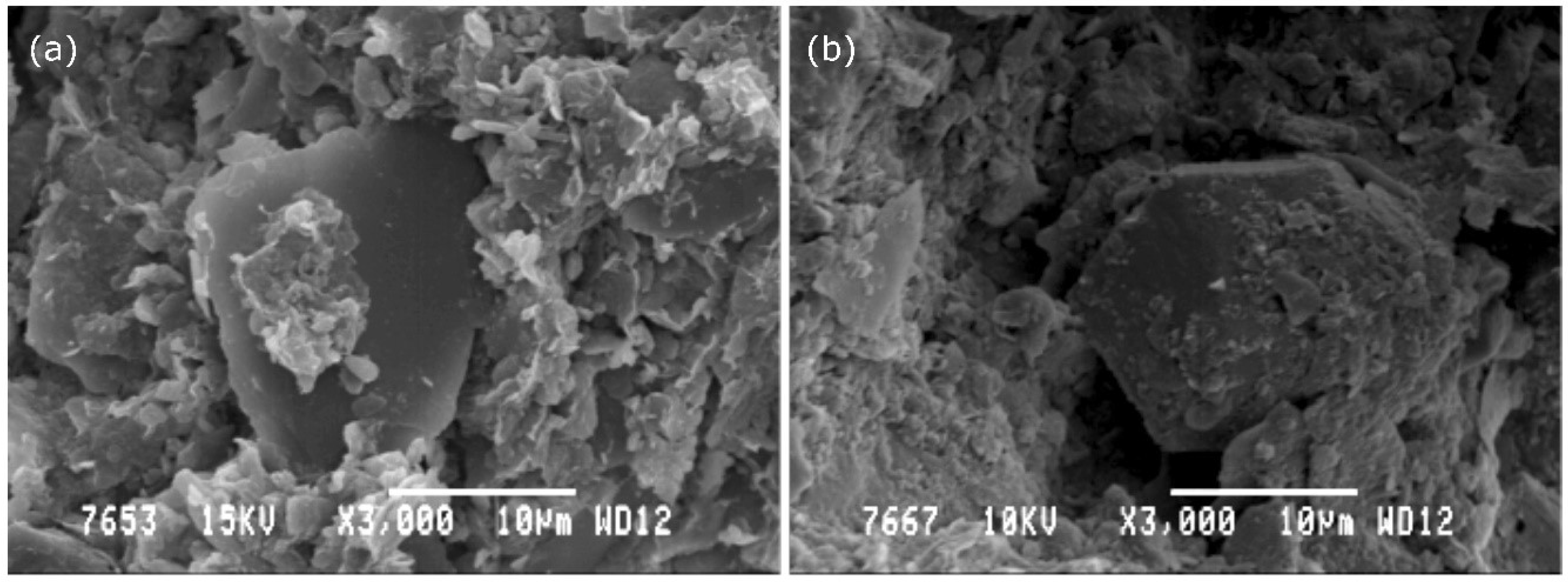 Sustainability 11 00679 g009