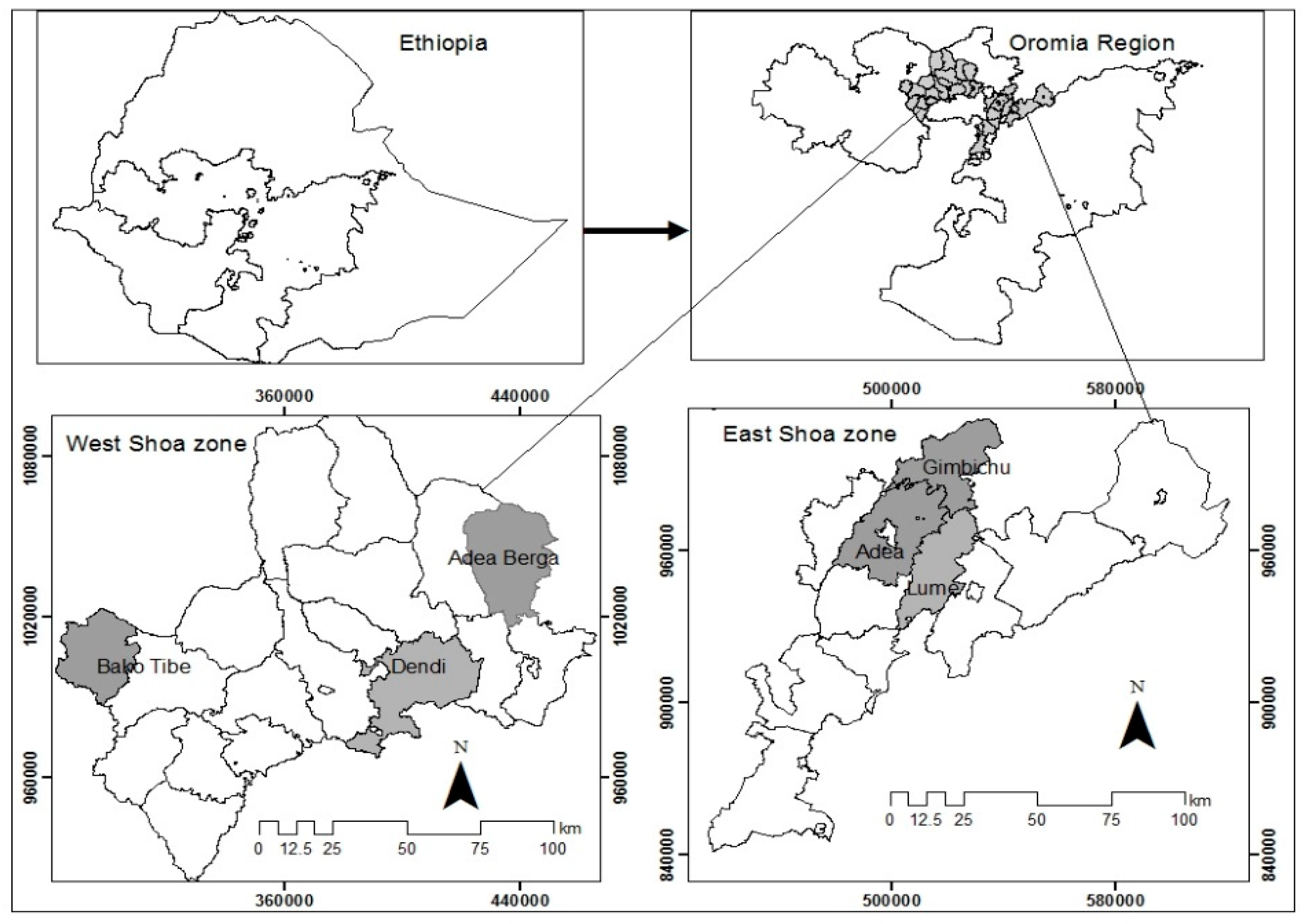 Sustainability 11 01521 g001 Sustainability 11 01521 g001