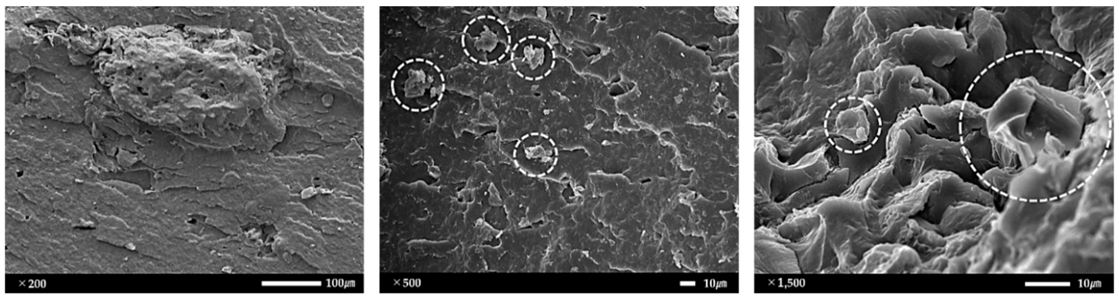 Sustainability 11 01720 g012