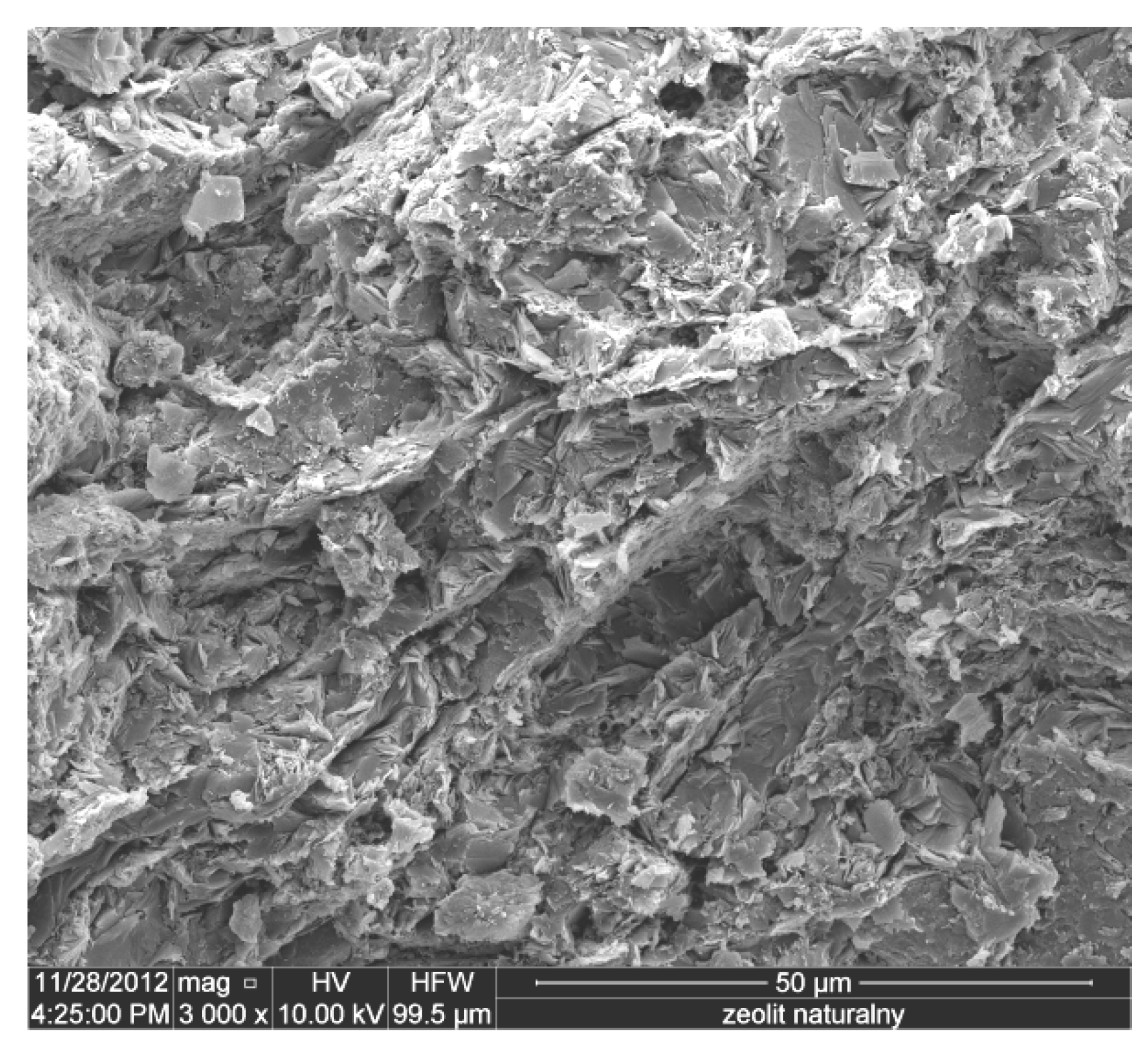 Sustainability 11 01782 g005