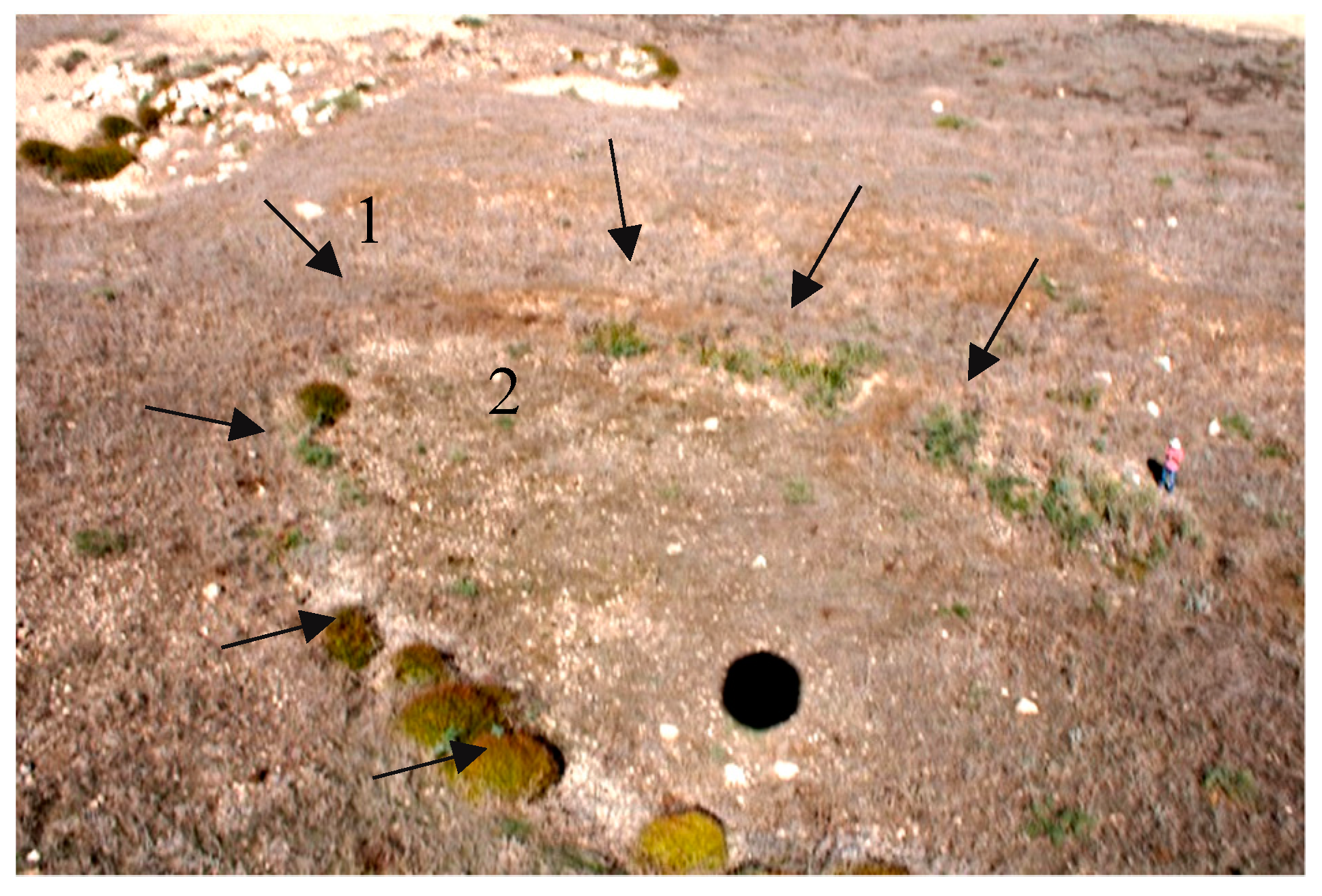 Sustainability 11 03339 g011