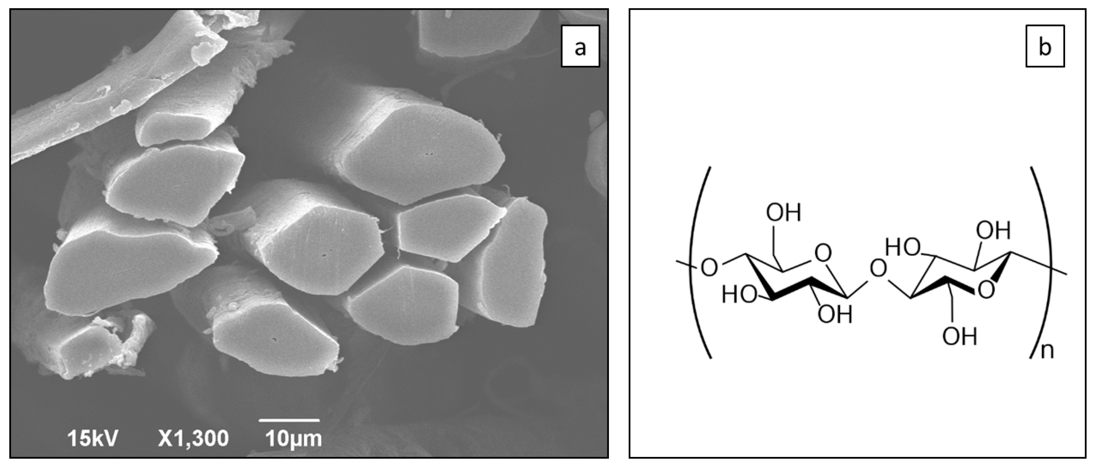 Sustainability 11 03558 g001