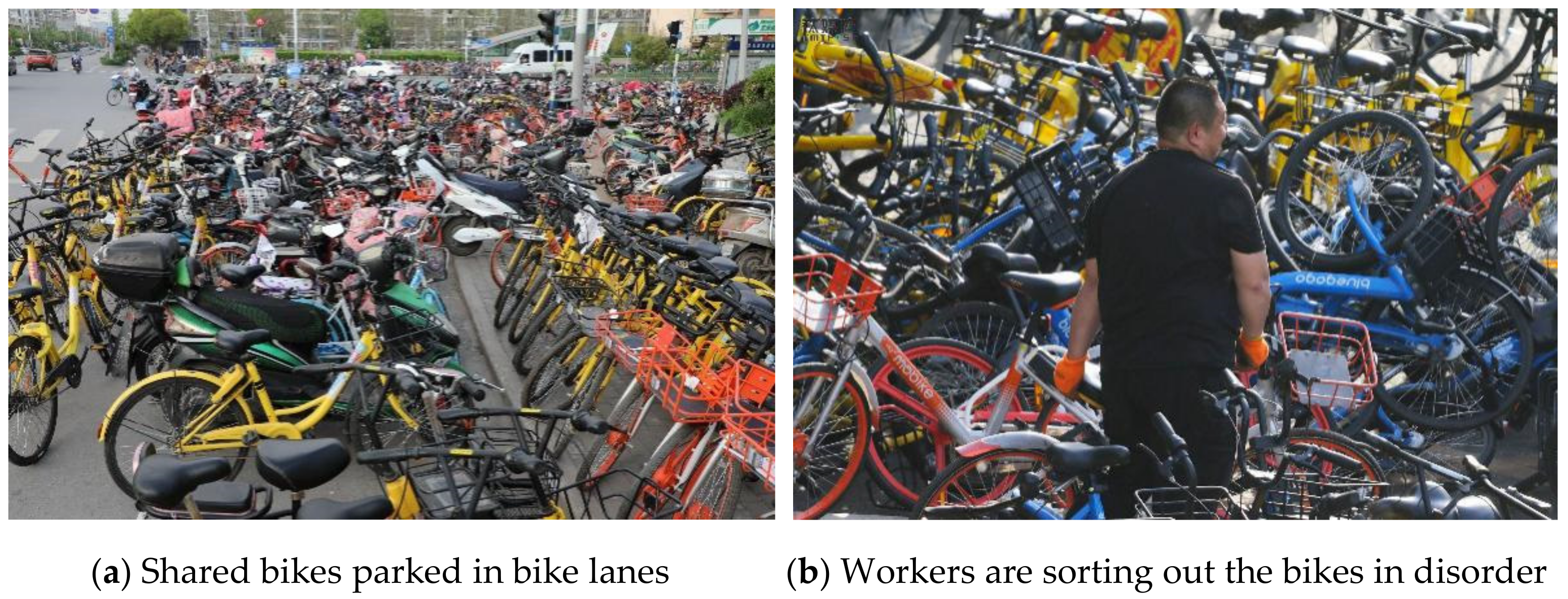 Sustainability 11 05439 g003