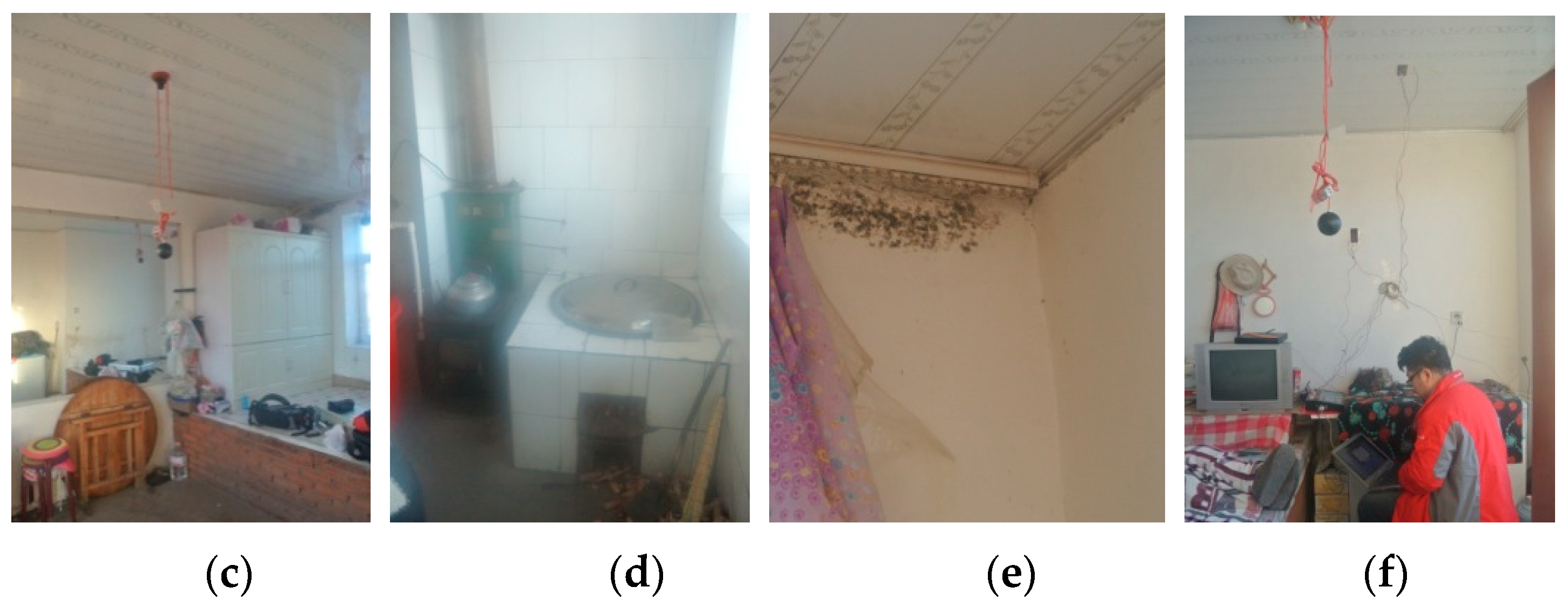 Sustainability 12 01103 g004b