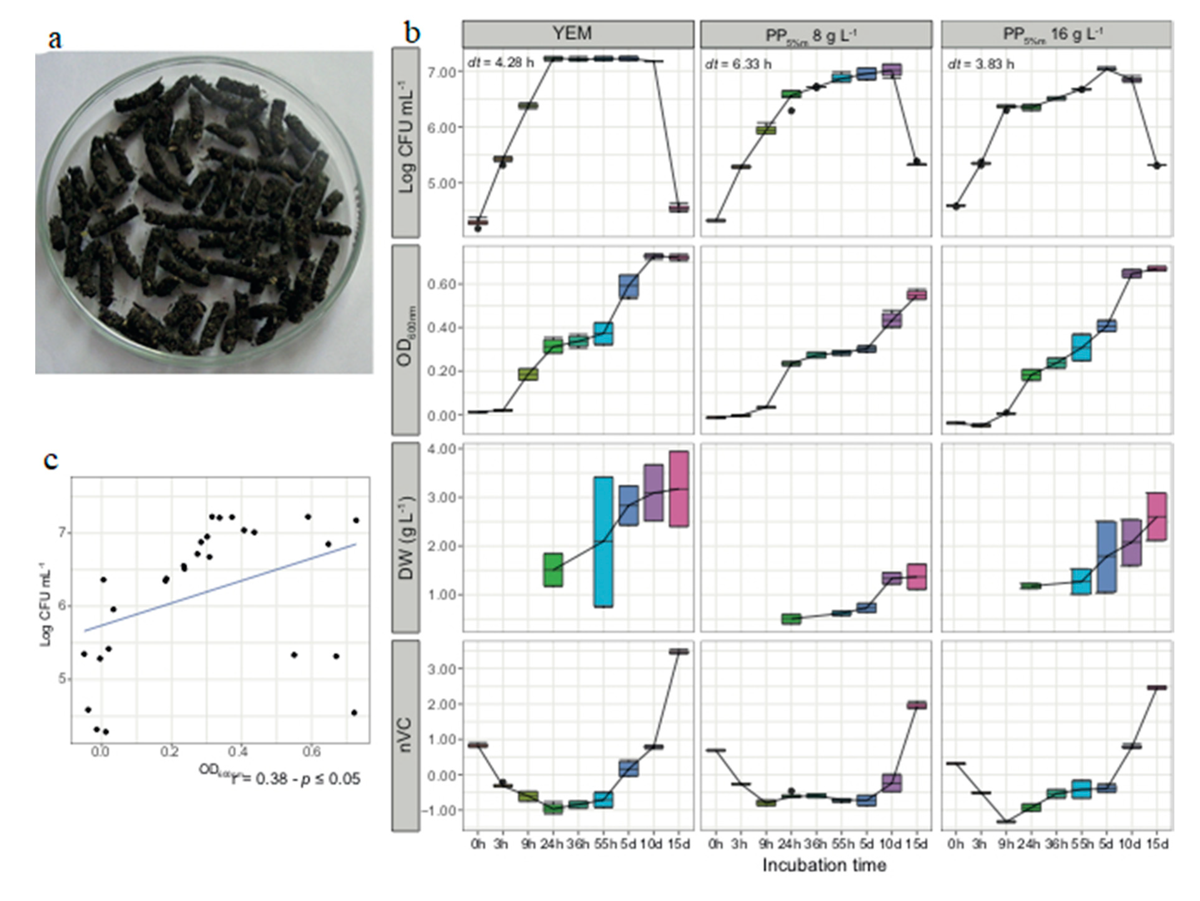 Sustainability 12 08389 g002