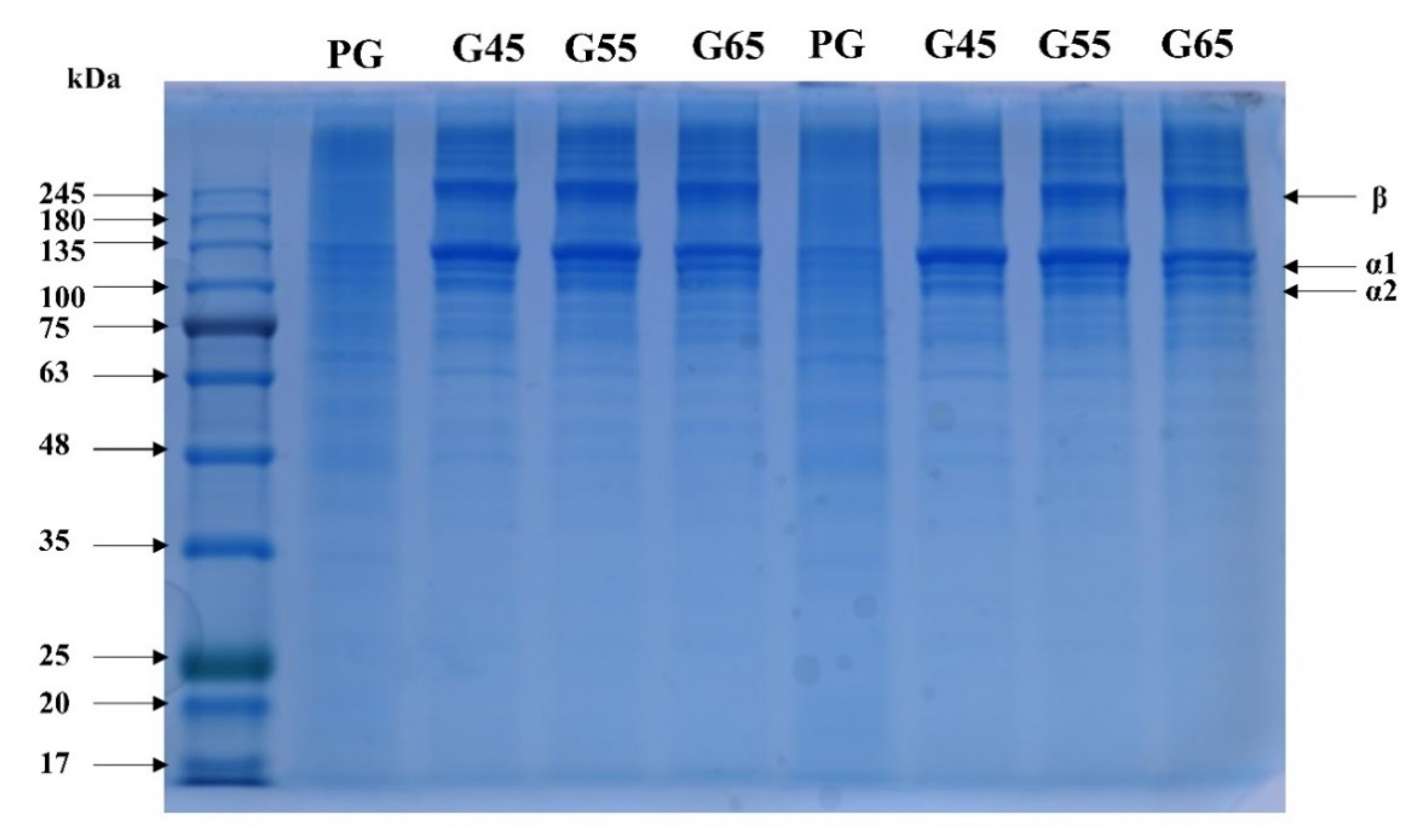 Sustainability 13 04390 g004 Sustainability 13 04390 g004