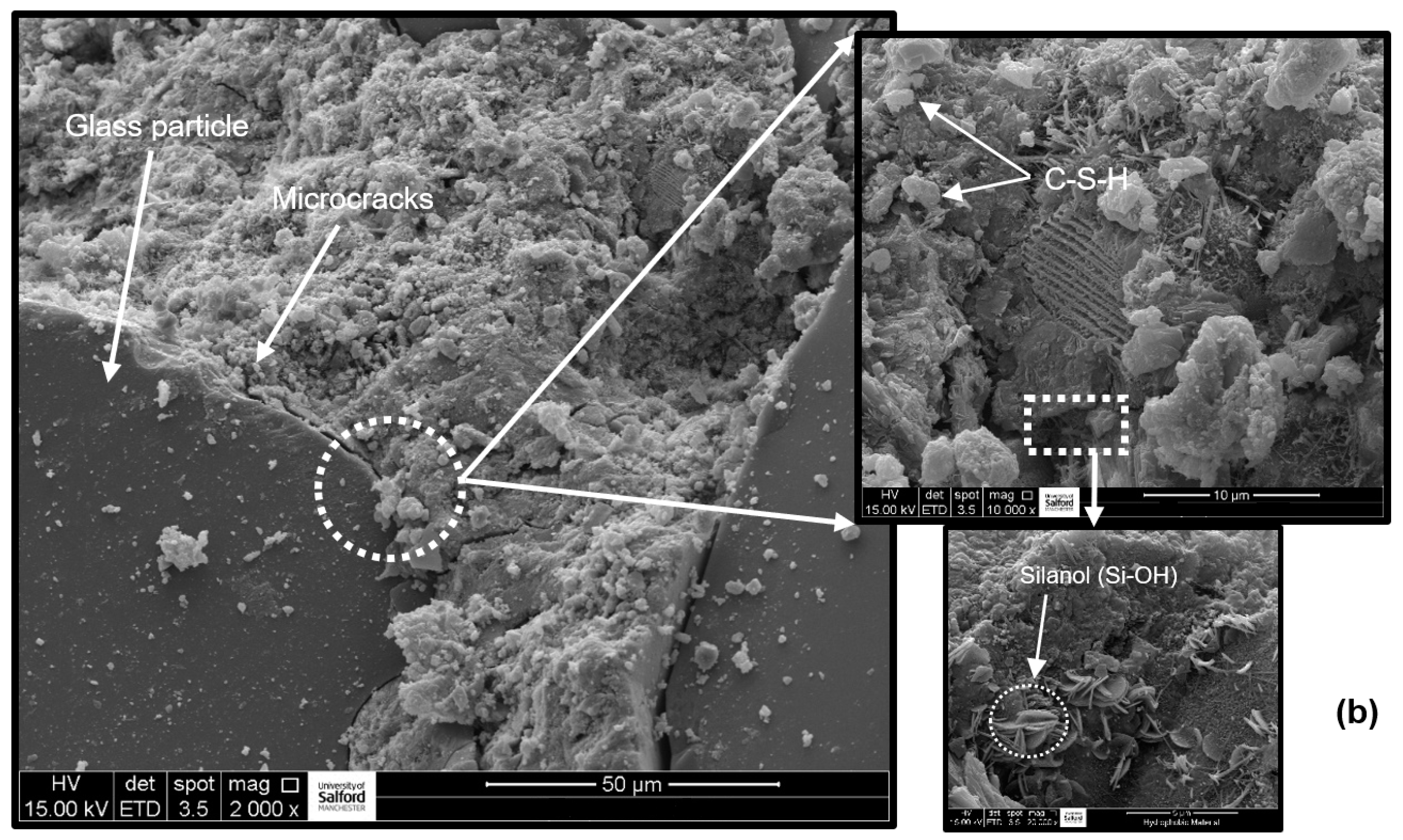 Sustainability 13 04949 g003b