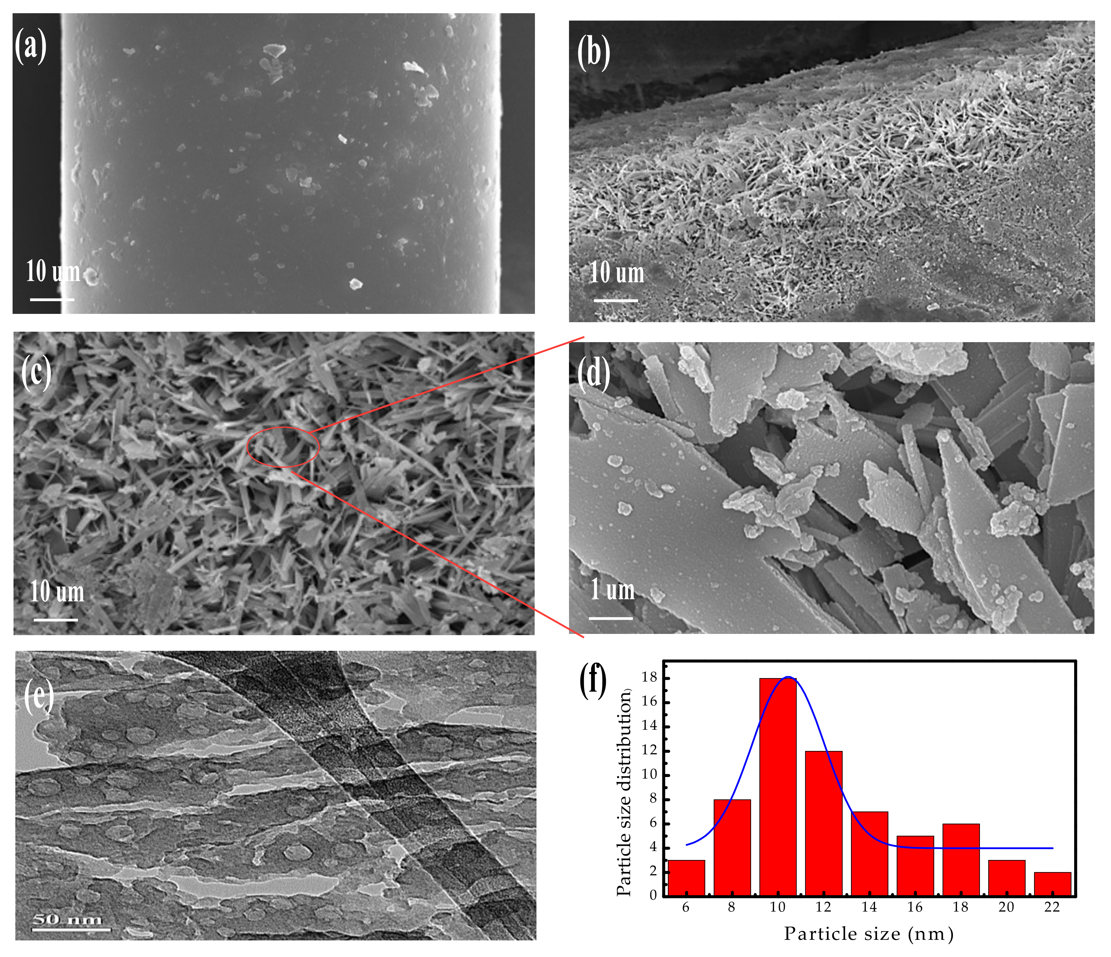 Sustainability 13 06207 g002