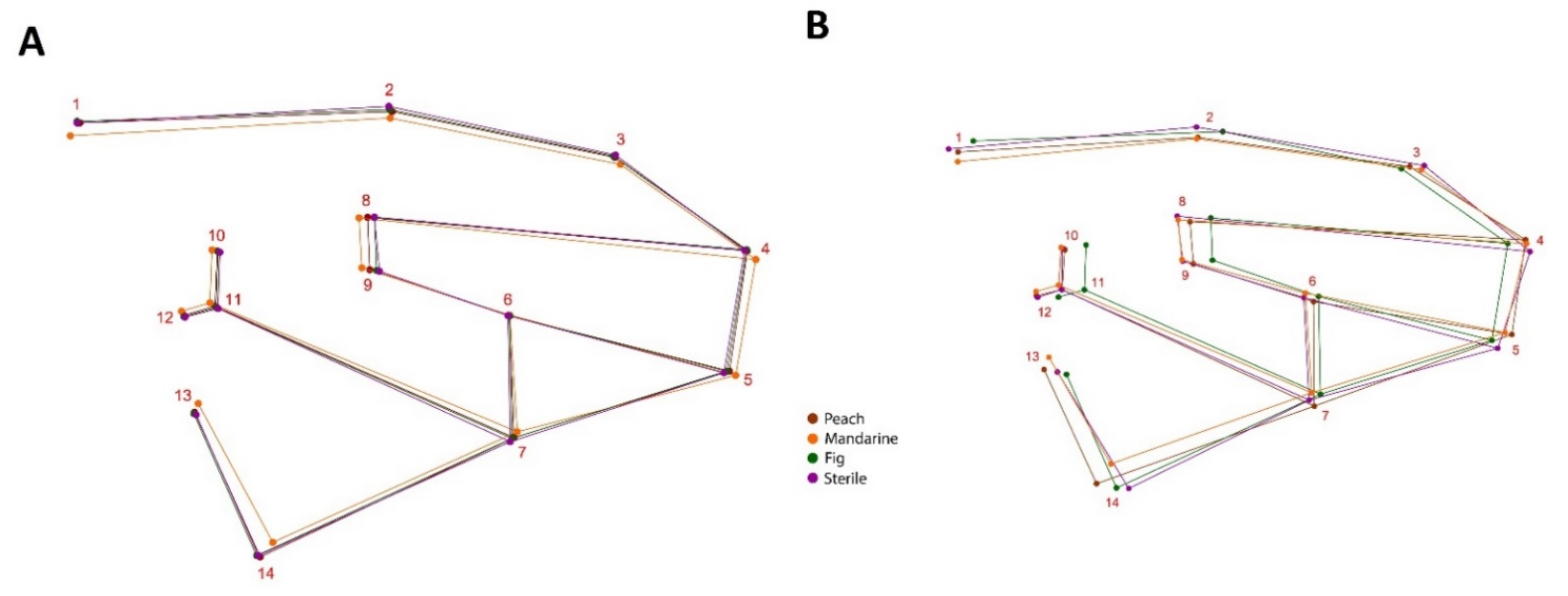 Sustainability 13 12510 g005