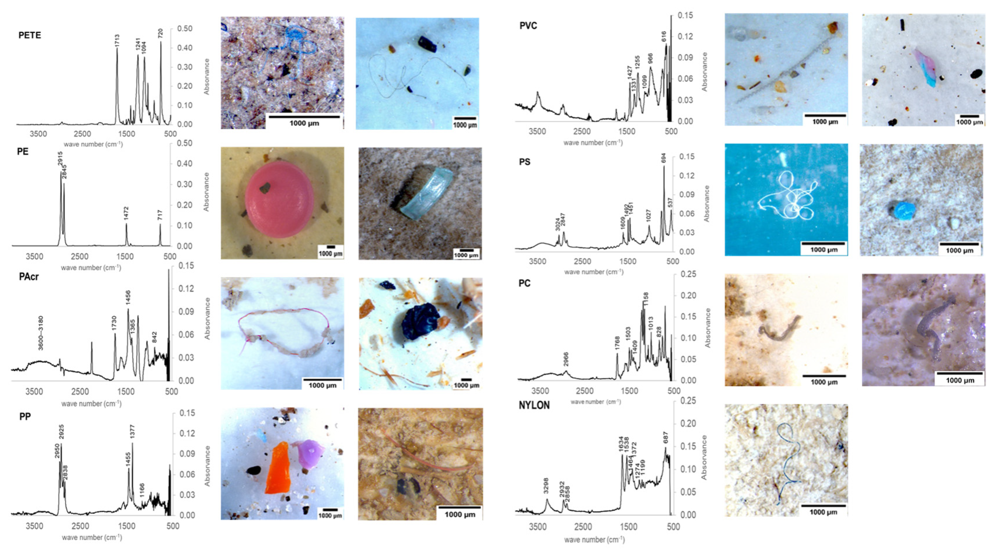 Sustainability 14 02255 g006