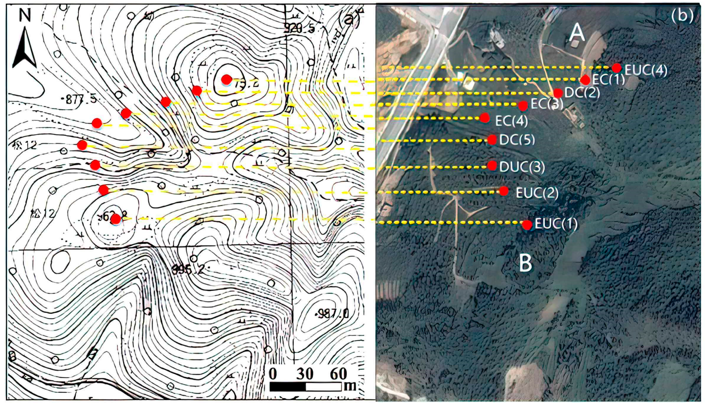 Sustainability 14 04810 g002