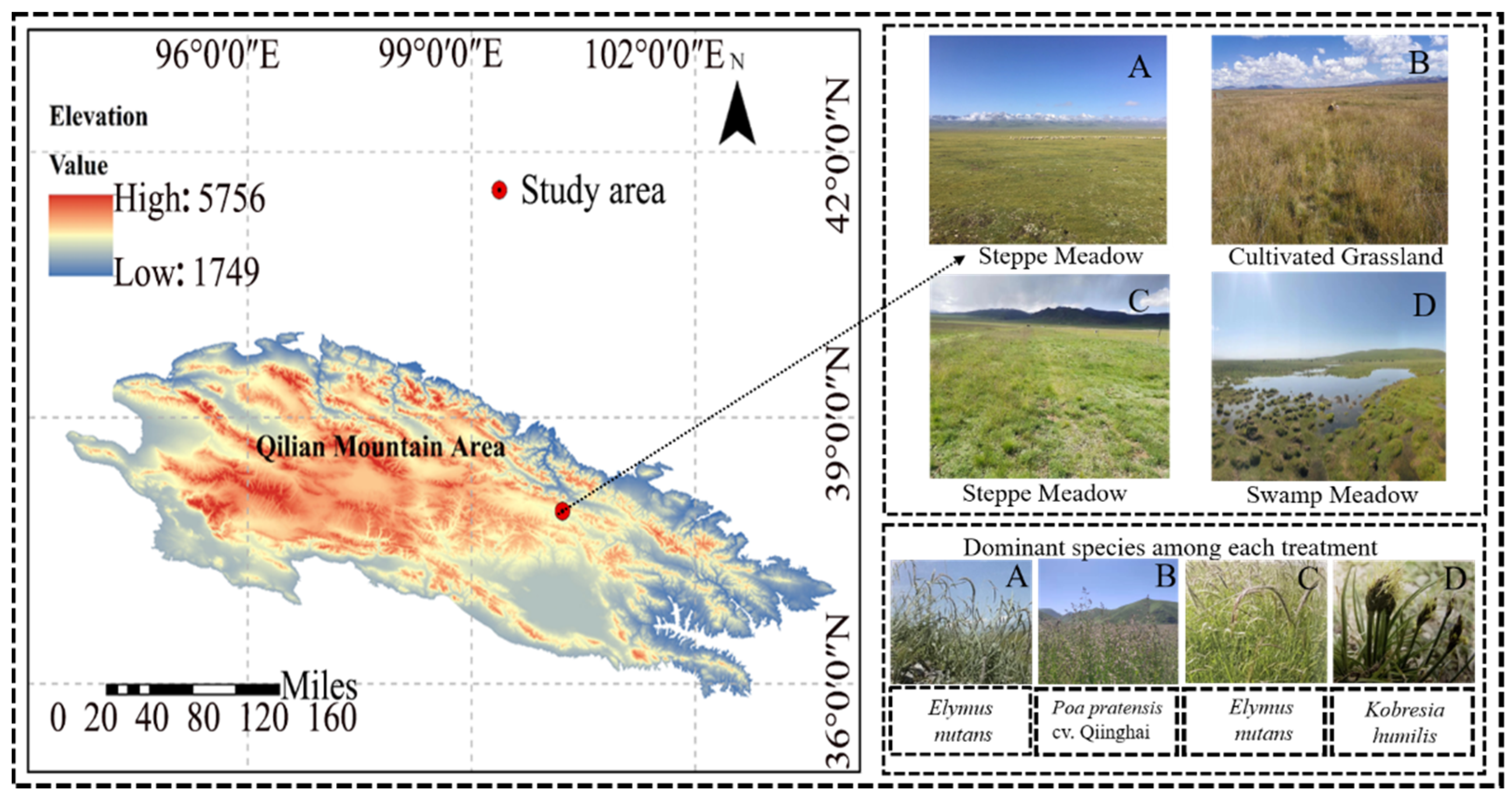 Sustainability 14 07910 g001