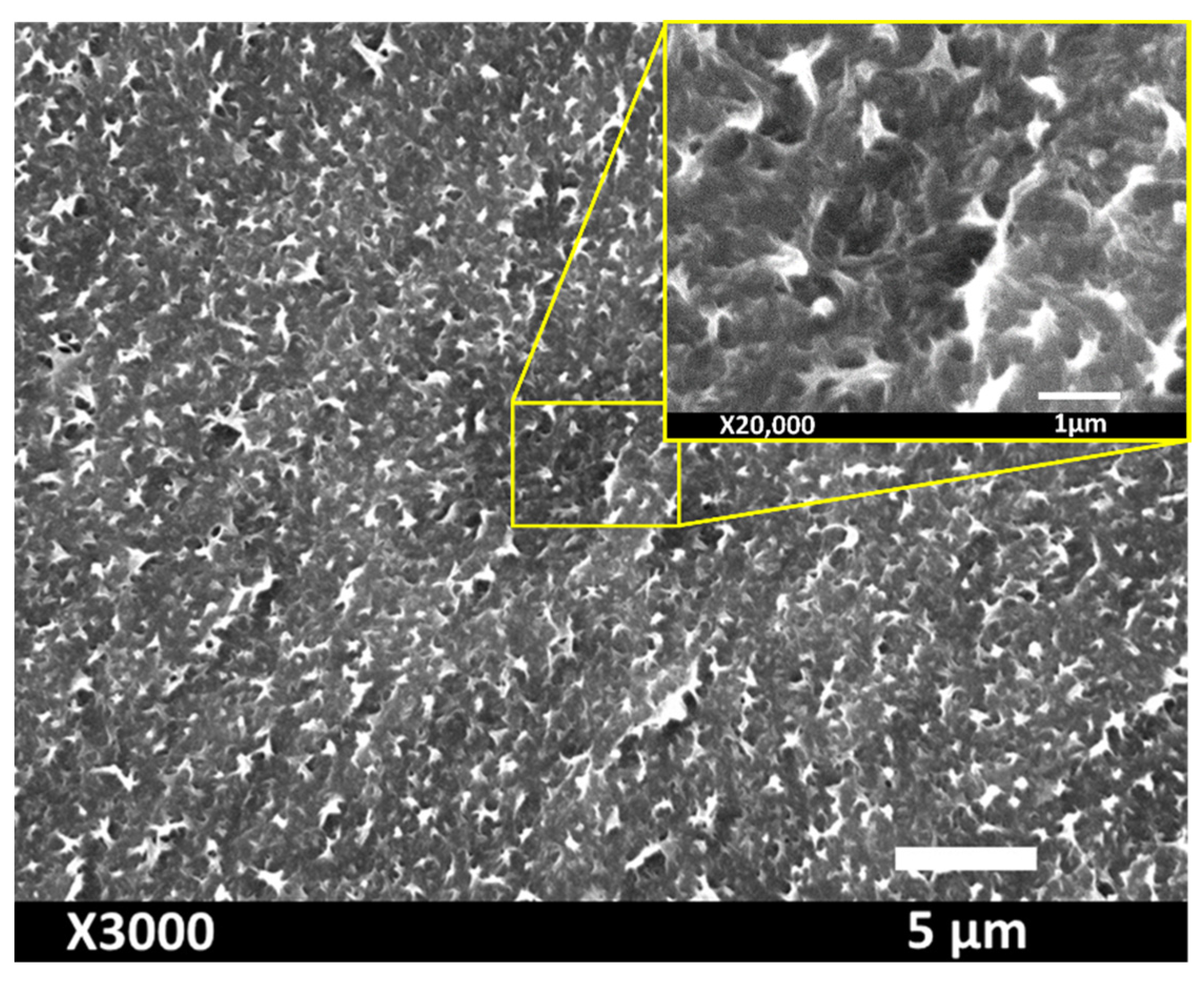 Sustainability 14 08422 g005