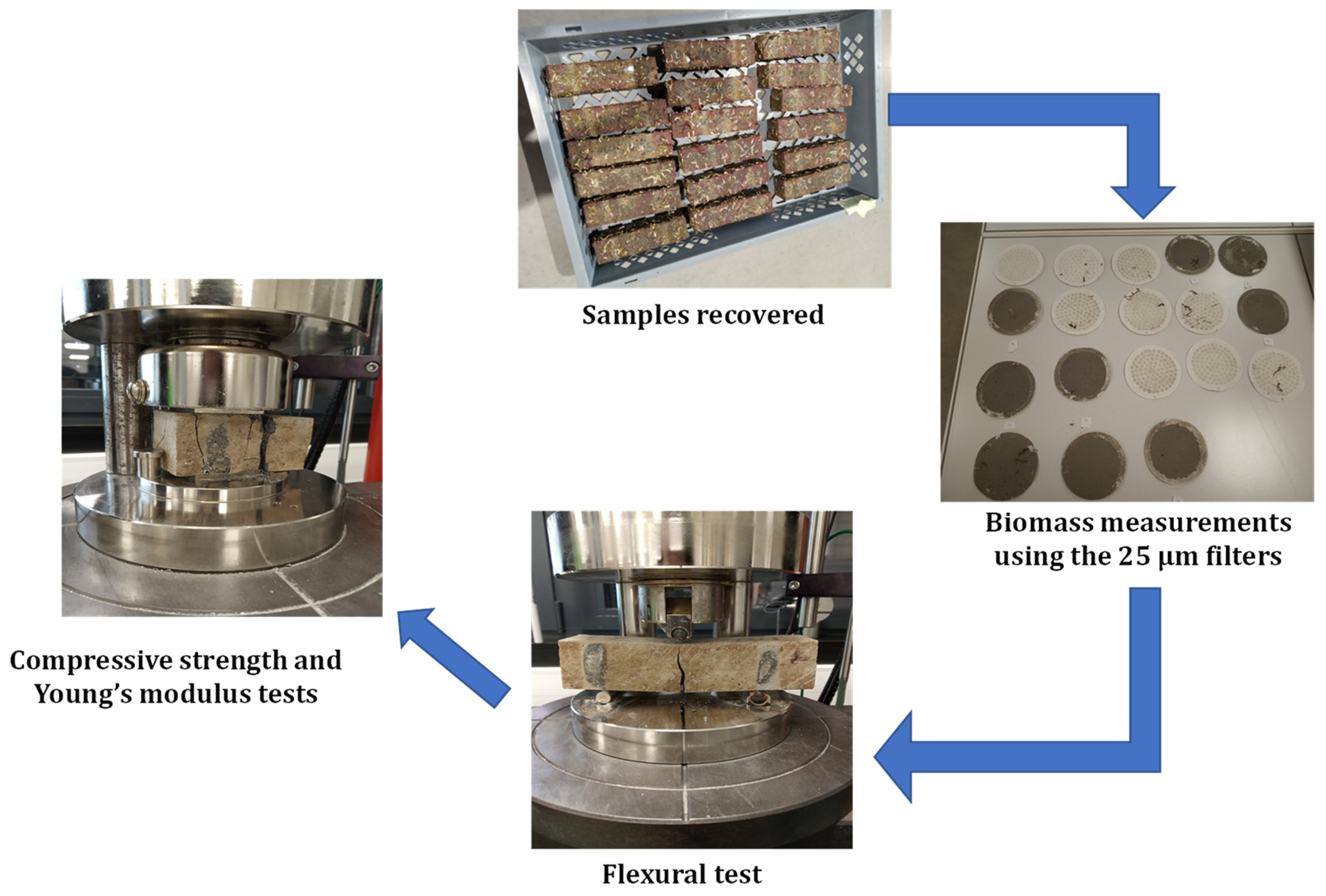 Sustainability 14 09353 g008