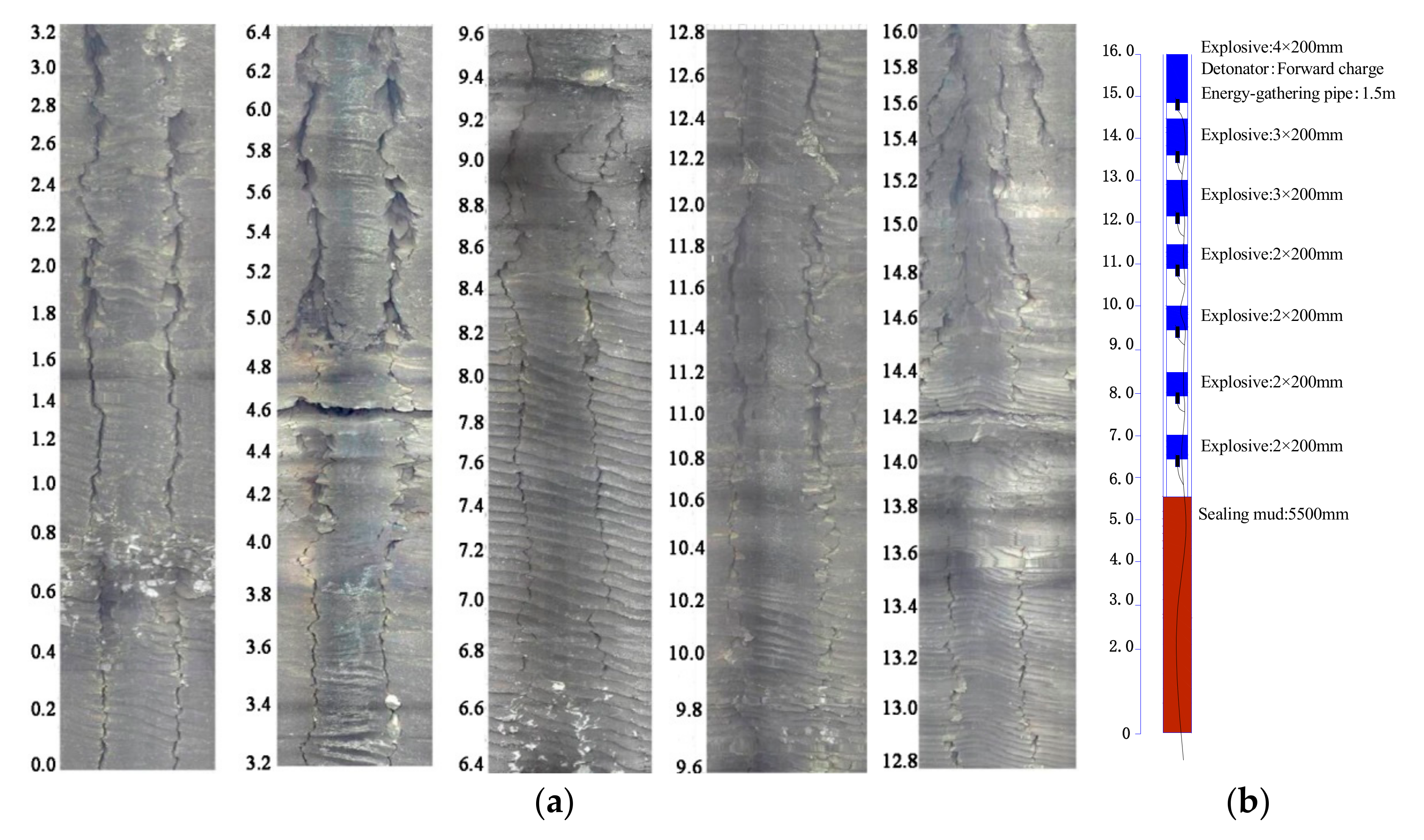 Sustainability 14 09941 g013