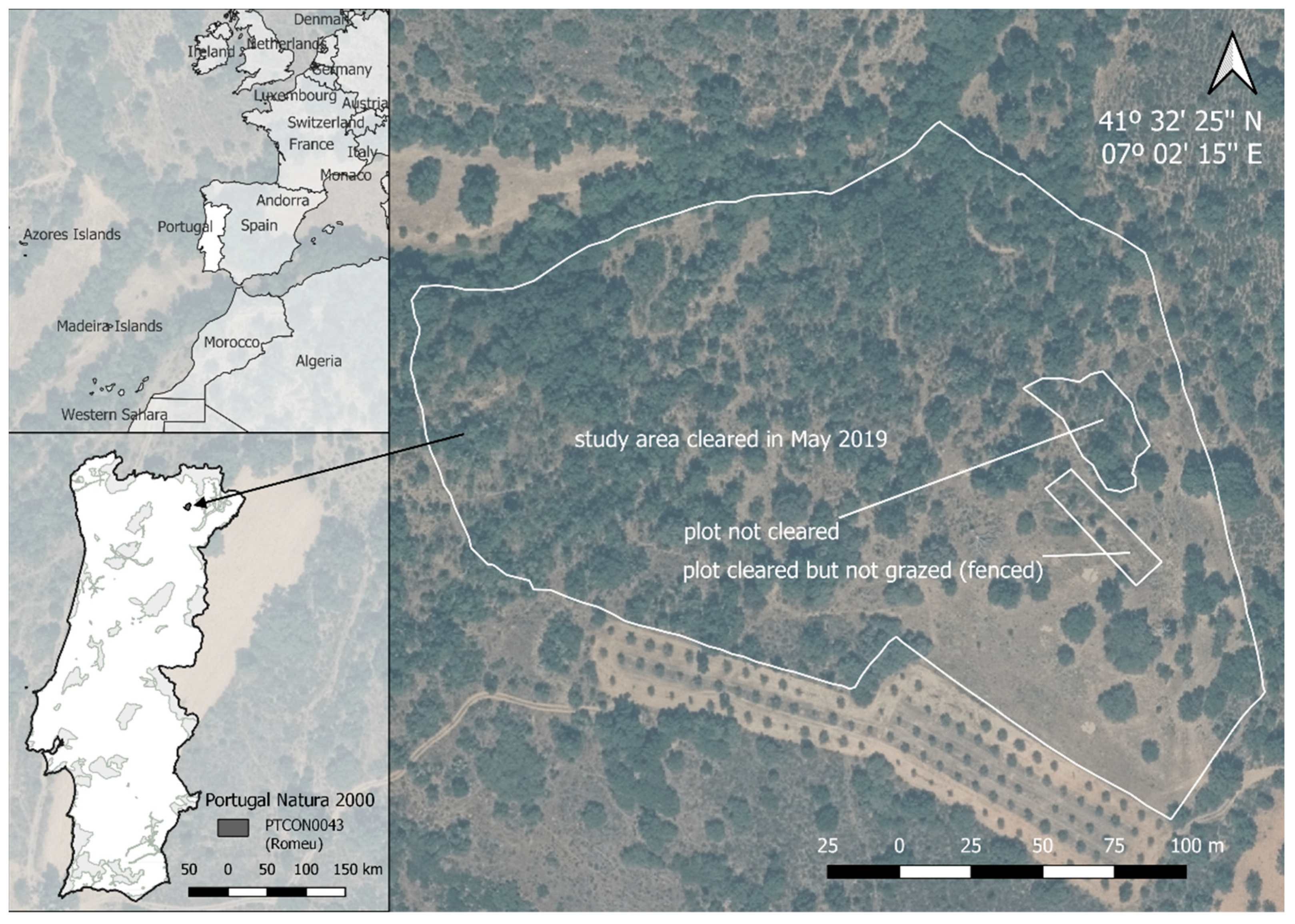 Sustainability 14 10979 g001