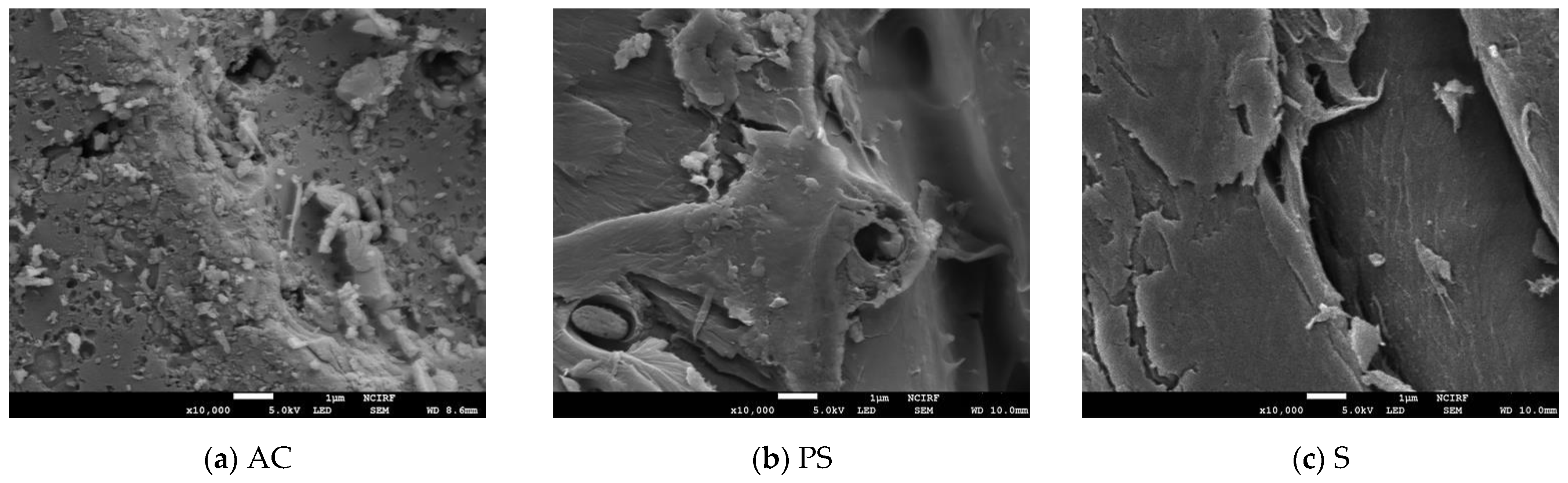 Sustainability 14 15579 g001