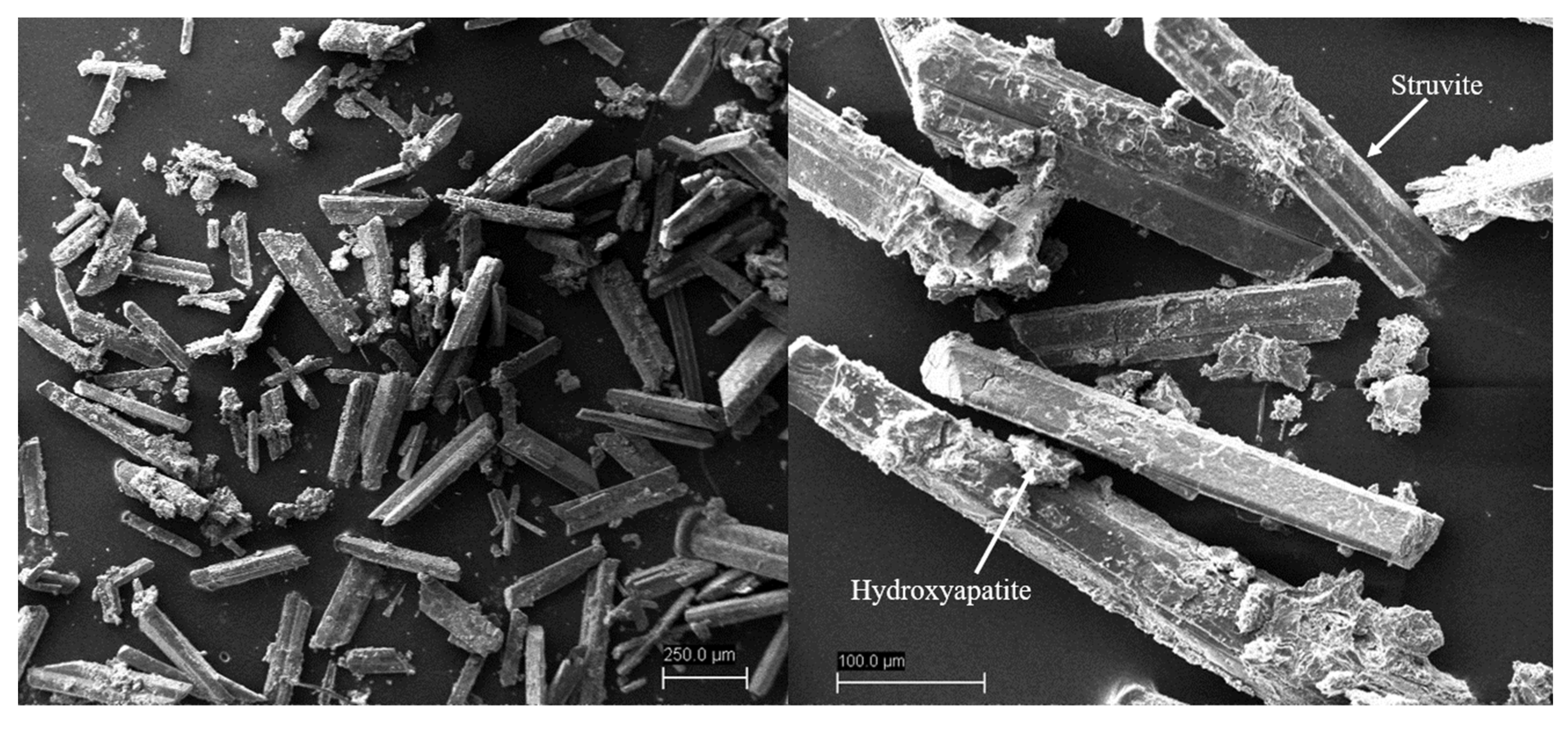 Sustainability 14 15807 g005