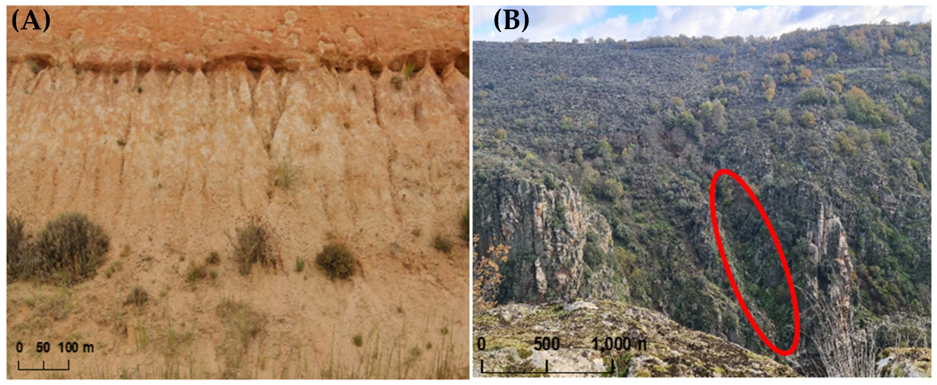 Sustainability 15 01627 g005
