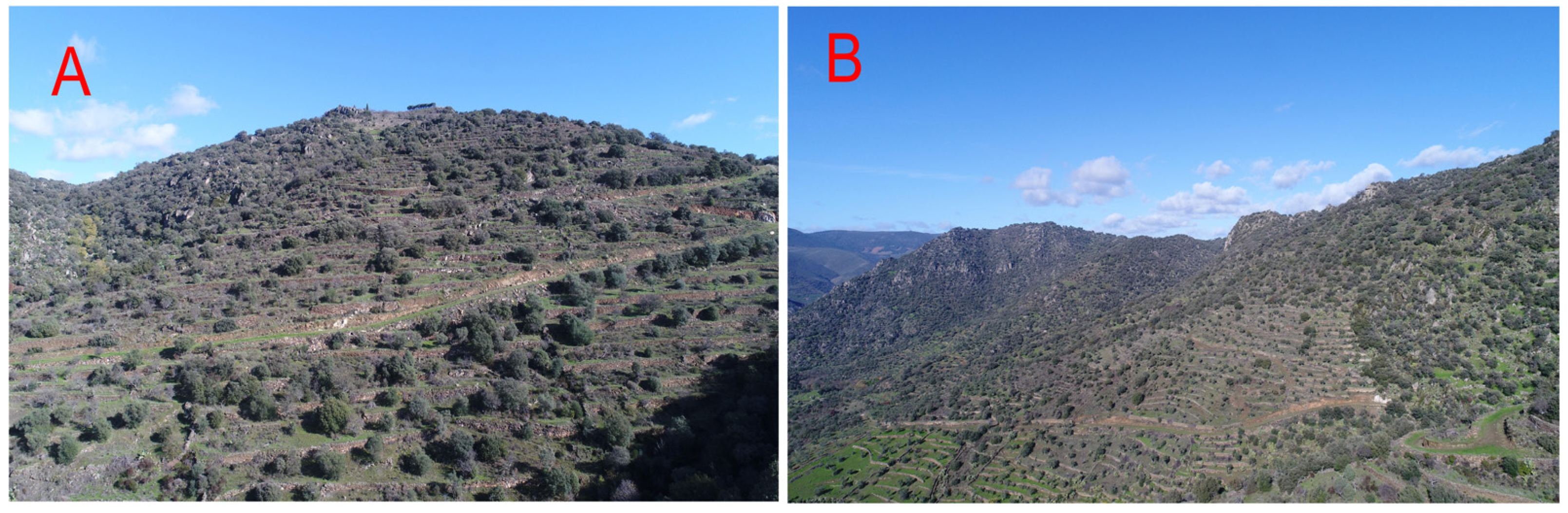 Sustainability 15 01627 g008