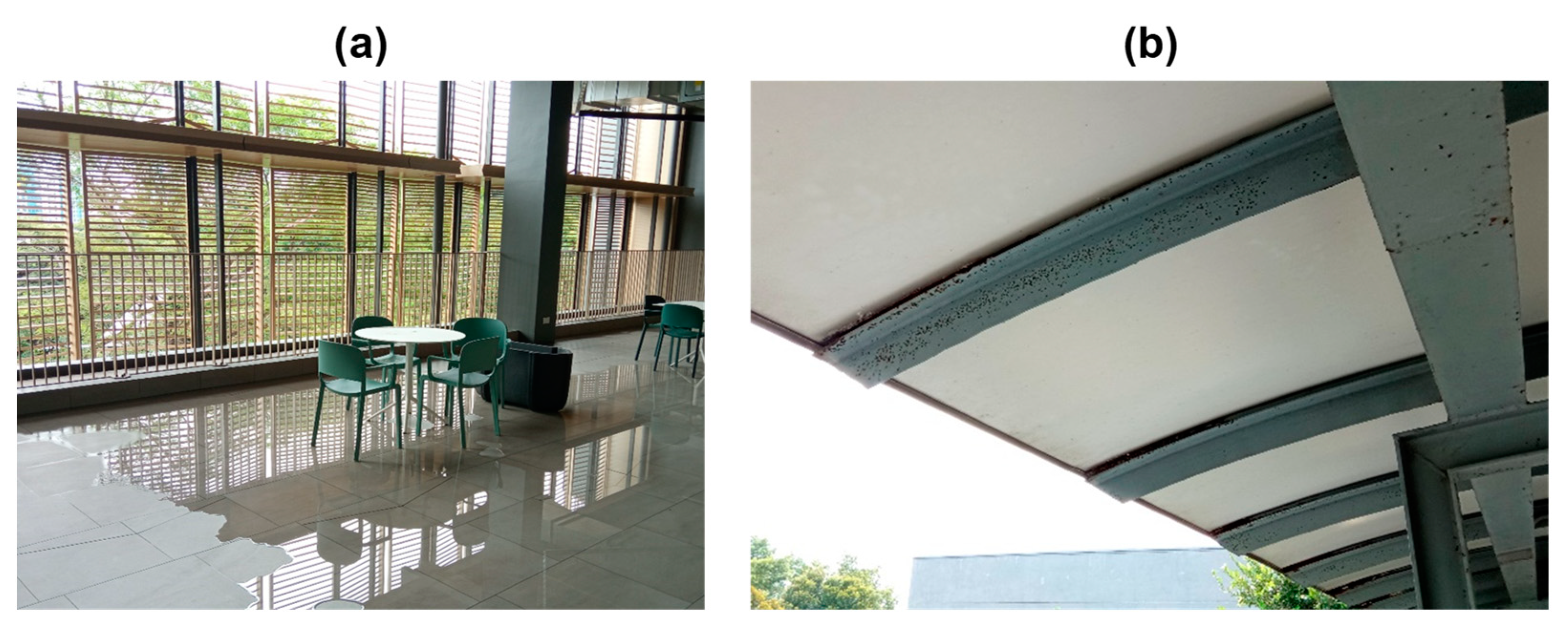 Sustainability 15 03156 g004