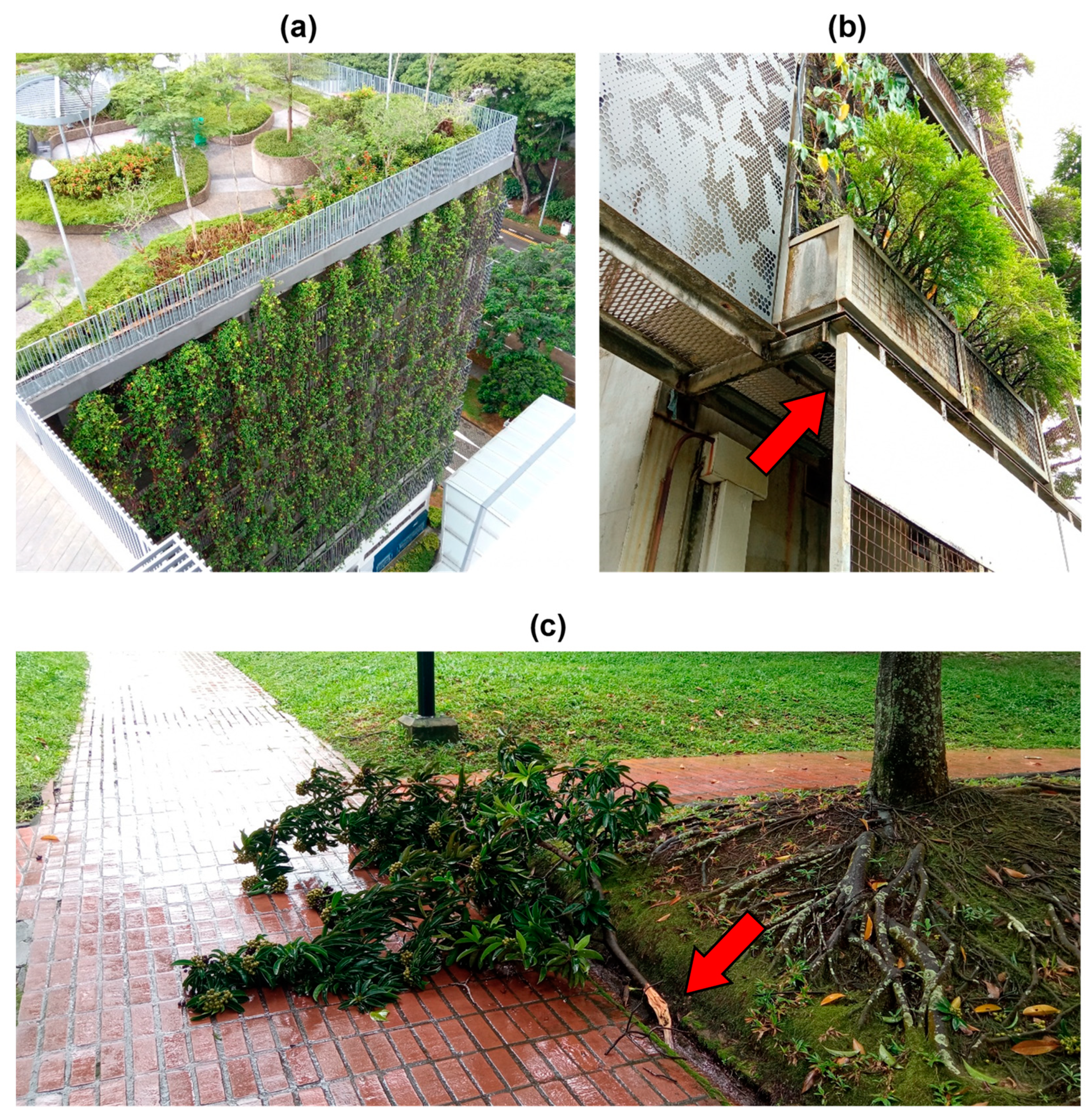 Sustainability 15 03156 g005