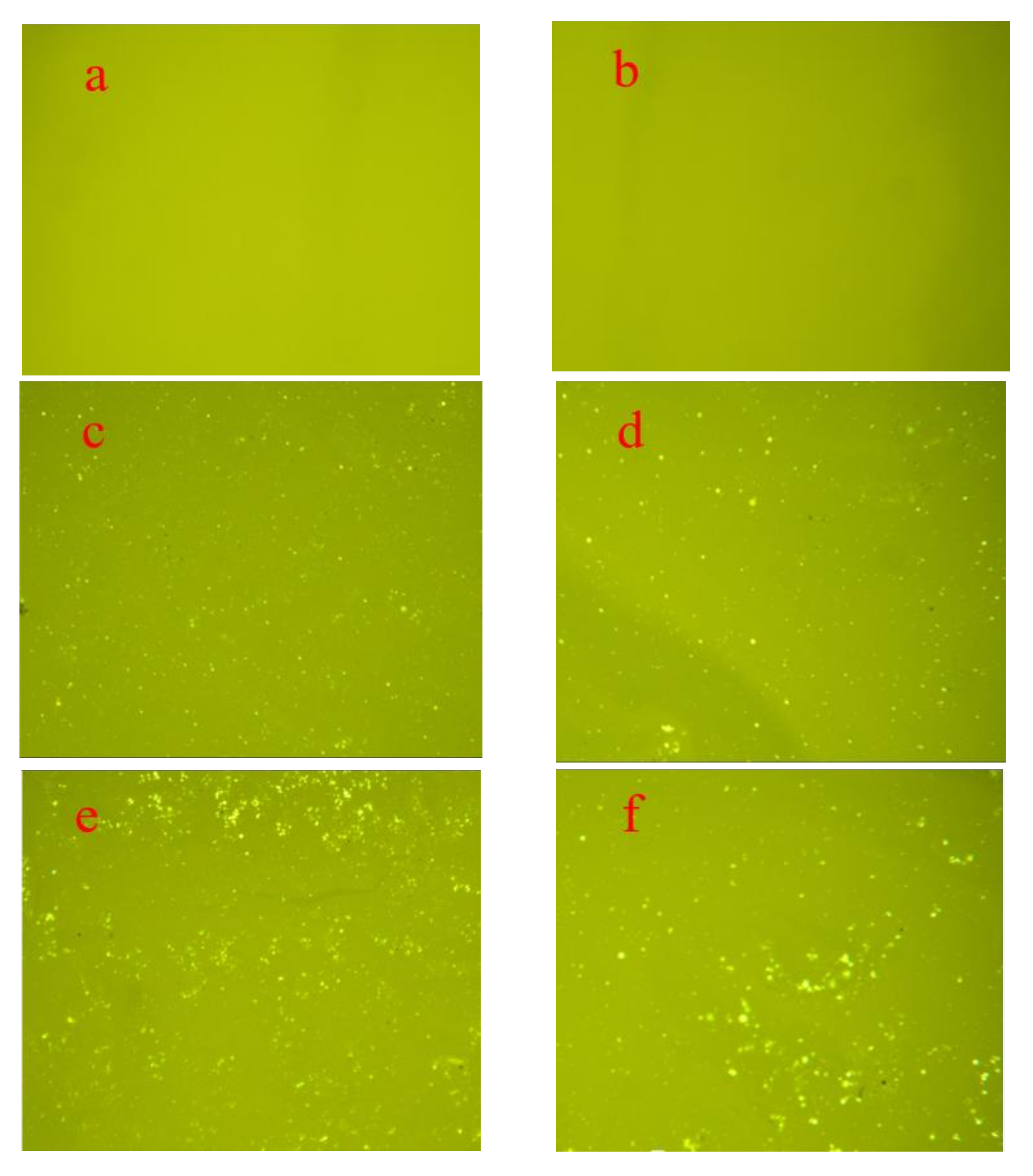 Sustainability 15 06889 g002a