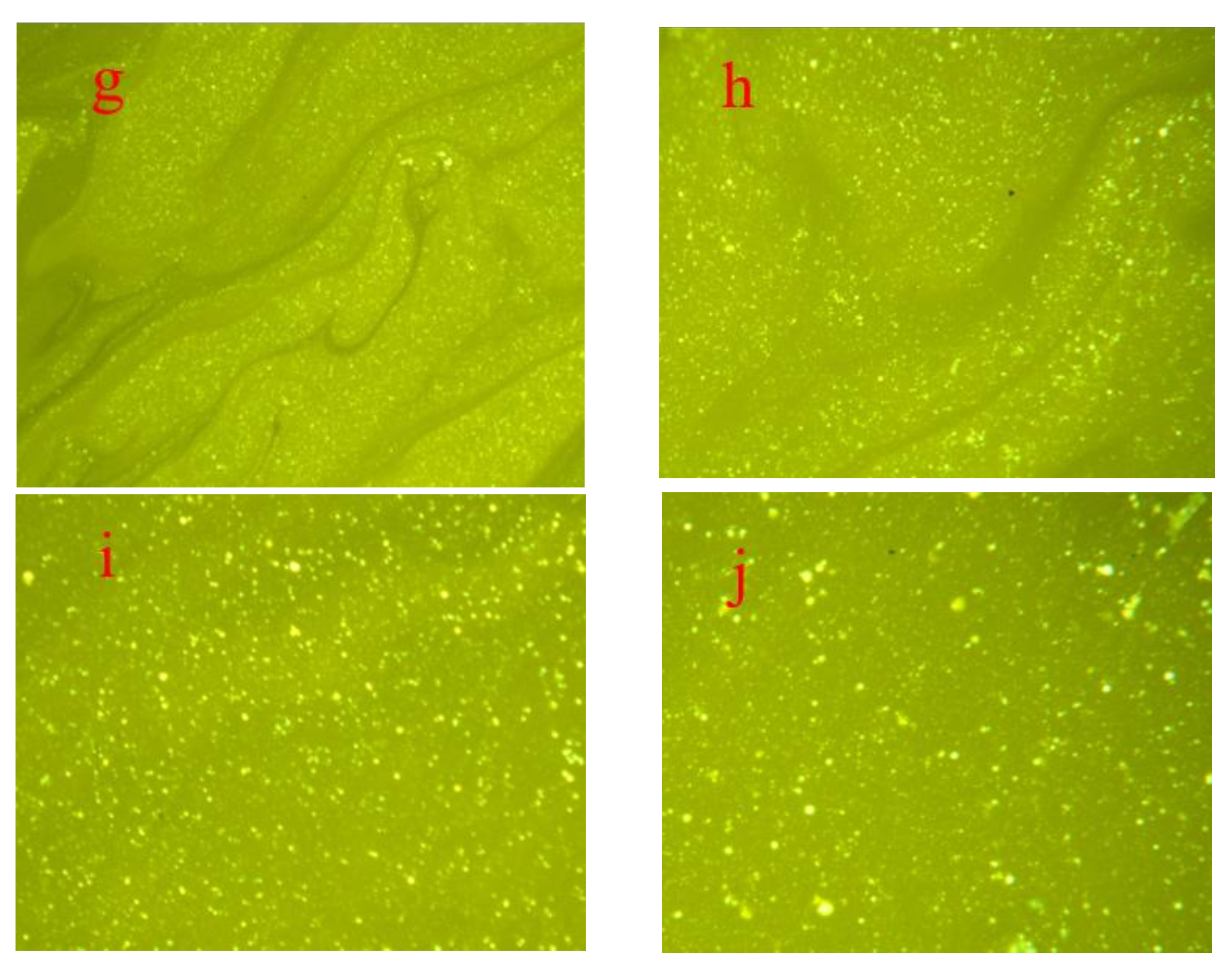 Sustainability 15 06889 g002b