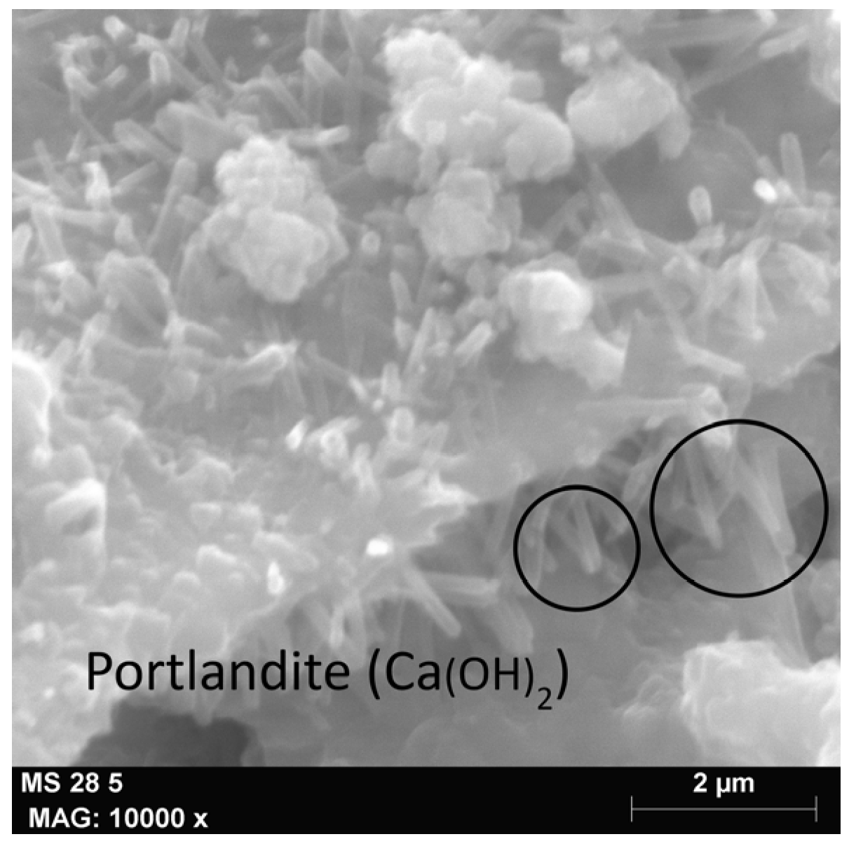 Sustainability 15 09388 g008