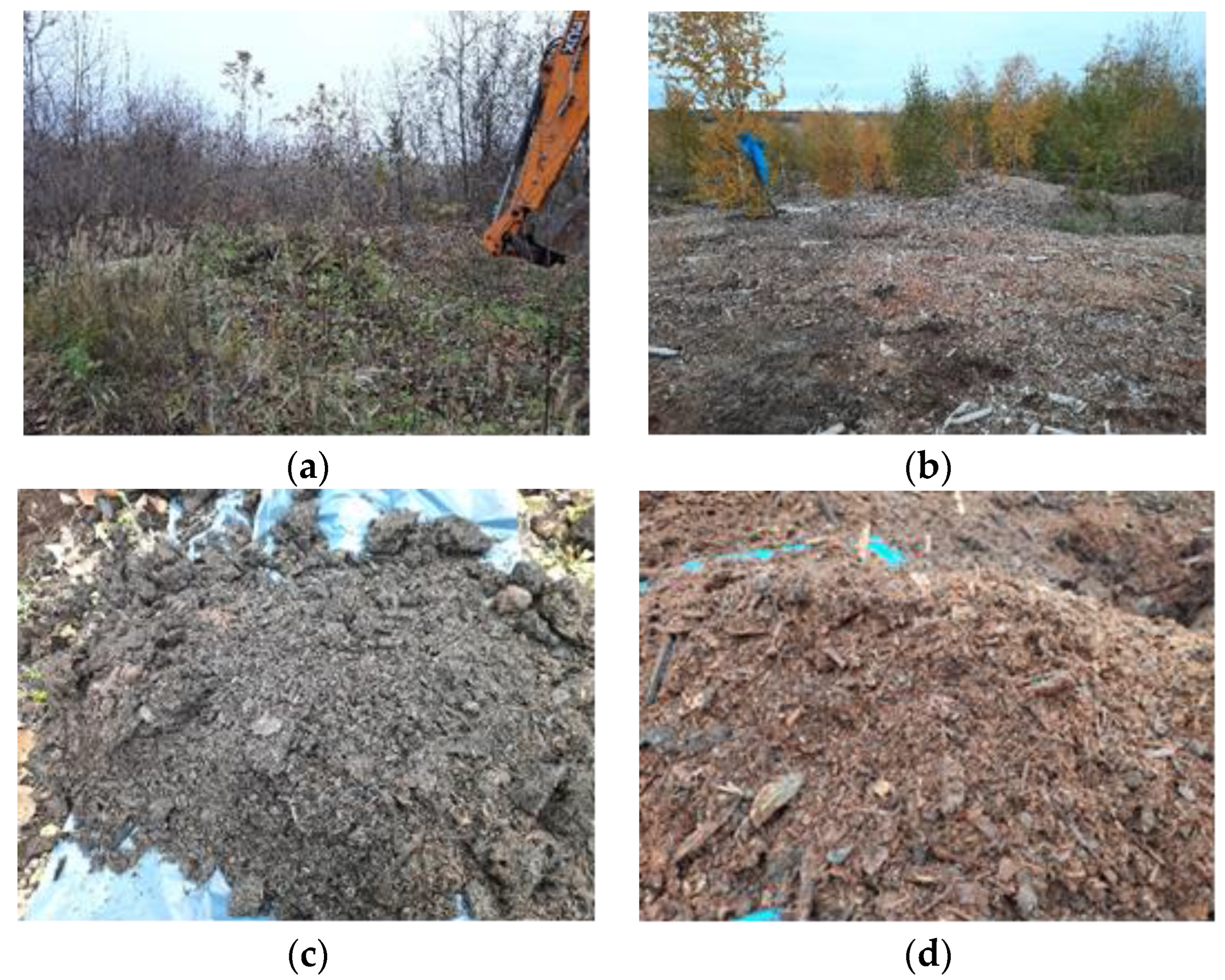 Sustainability 15 10768 g002