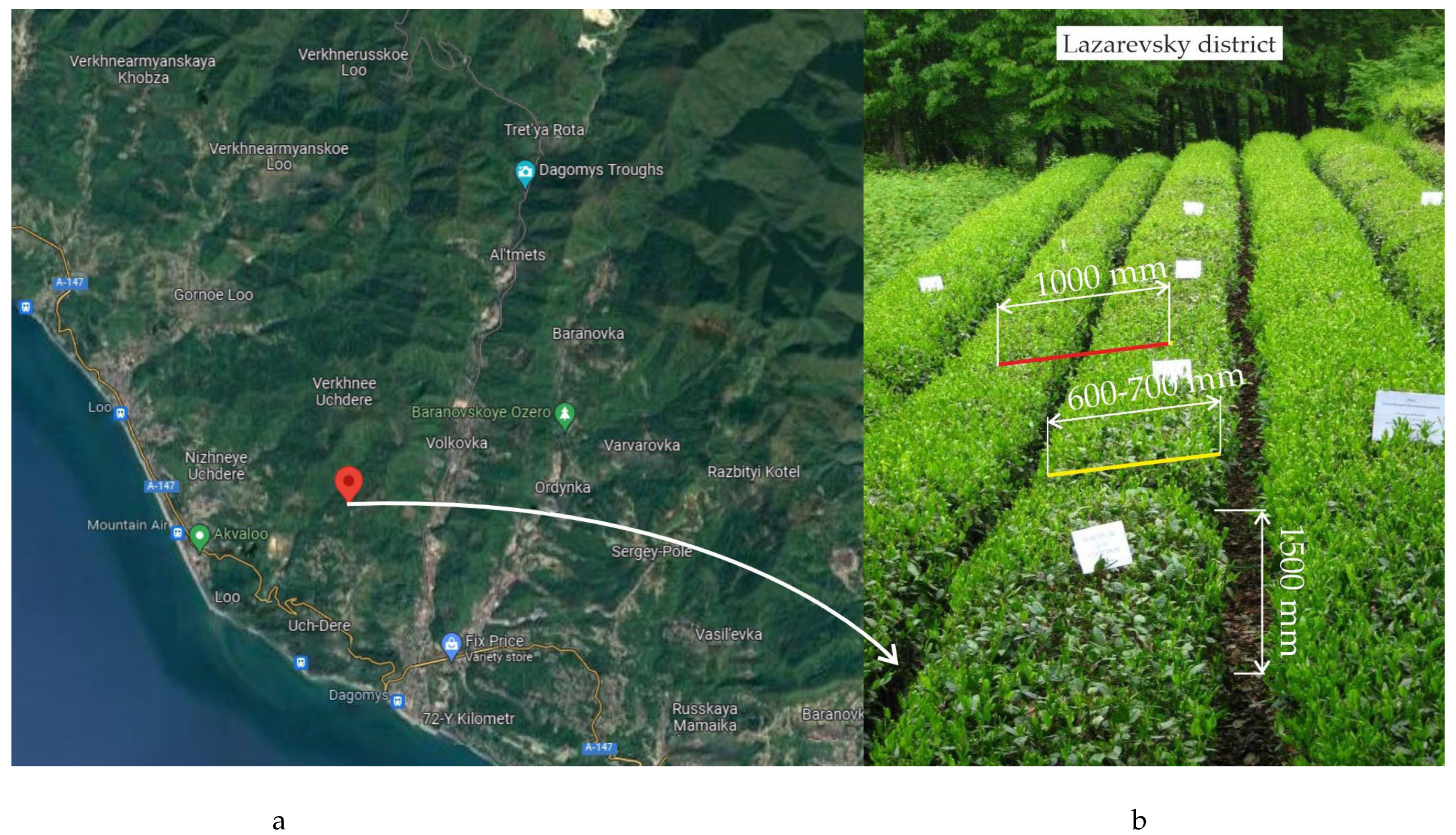 Sustainability 15 11671 g003