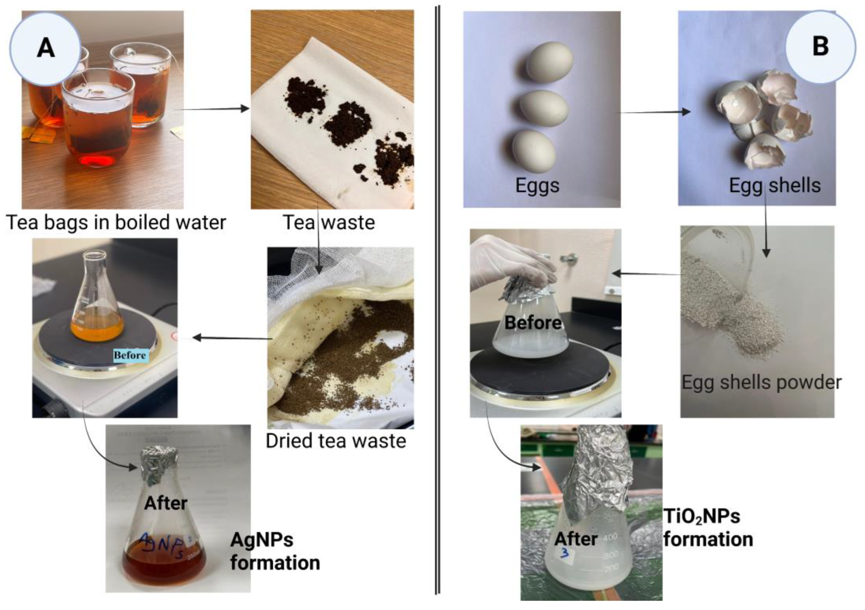 Sustainability 15 11858 g001