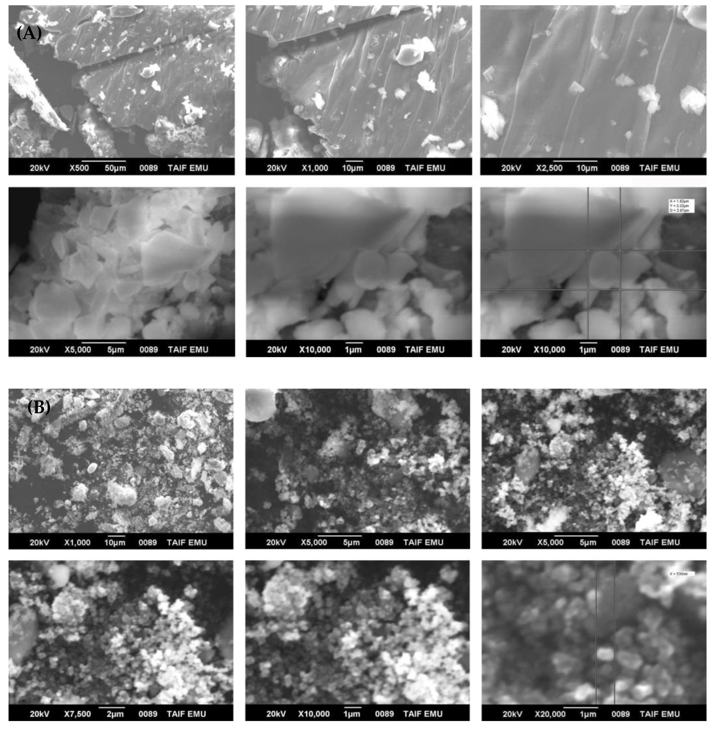 Sustainability 15 11858 g003