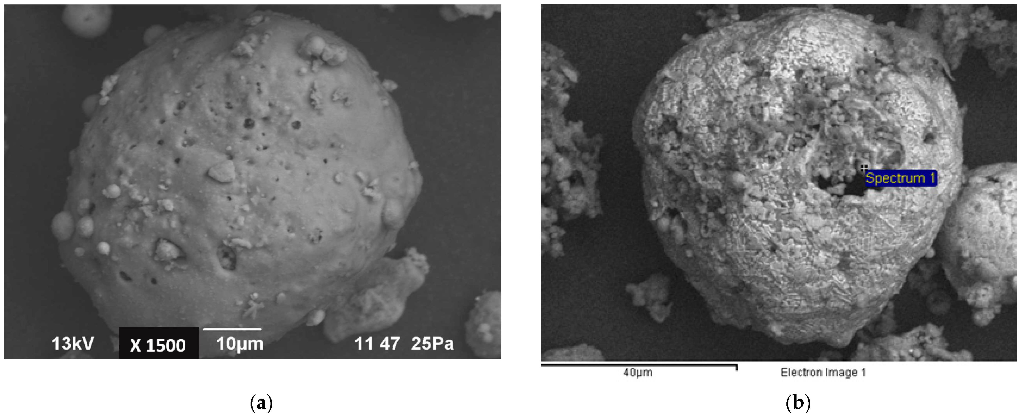 Sustainability 15 12404 g001