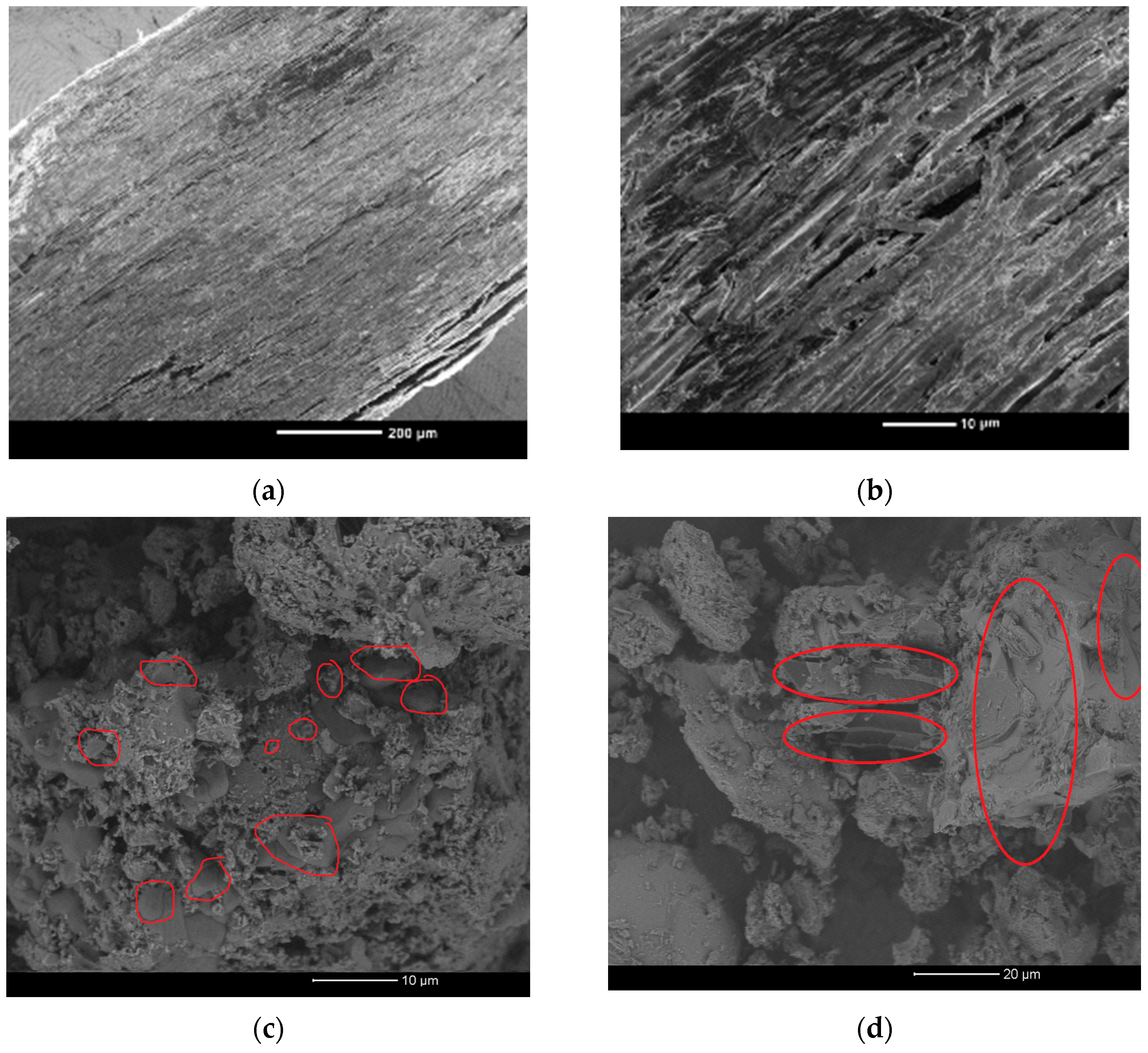 Sustainability 15 12404 g005