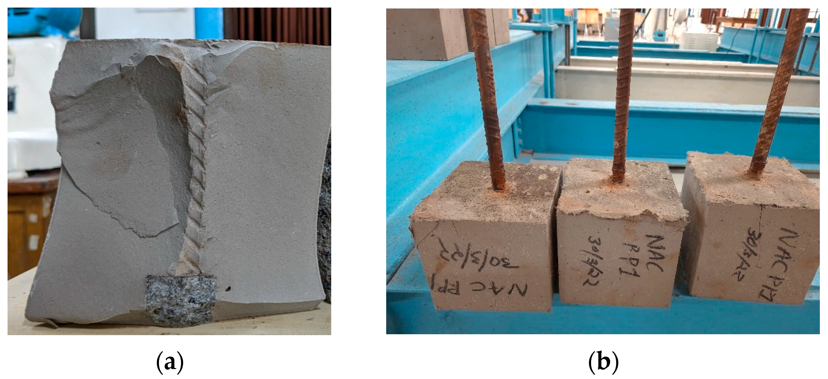 Sustainability 15 13128 g016