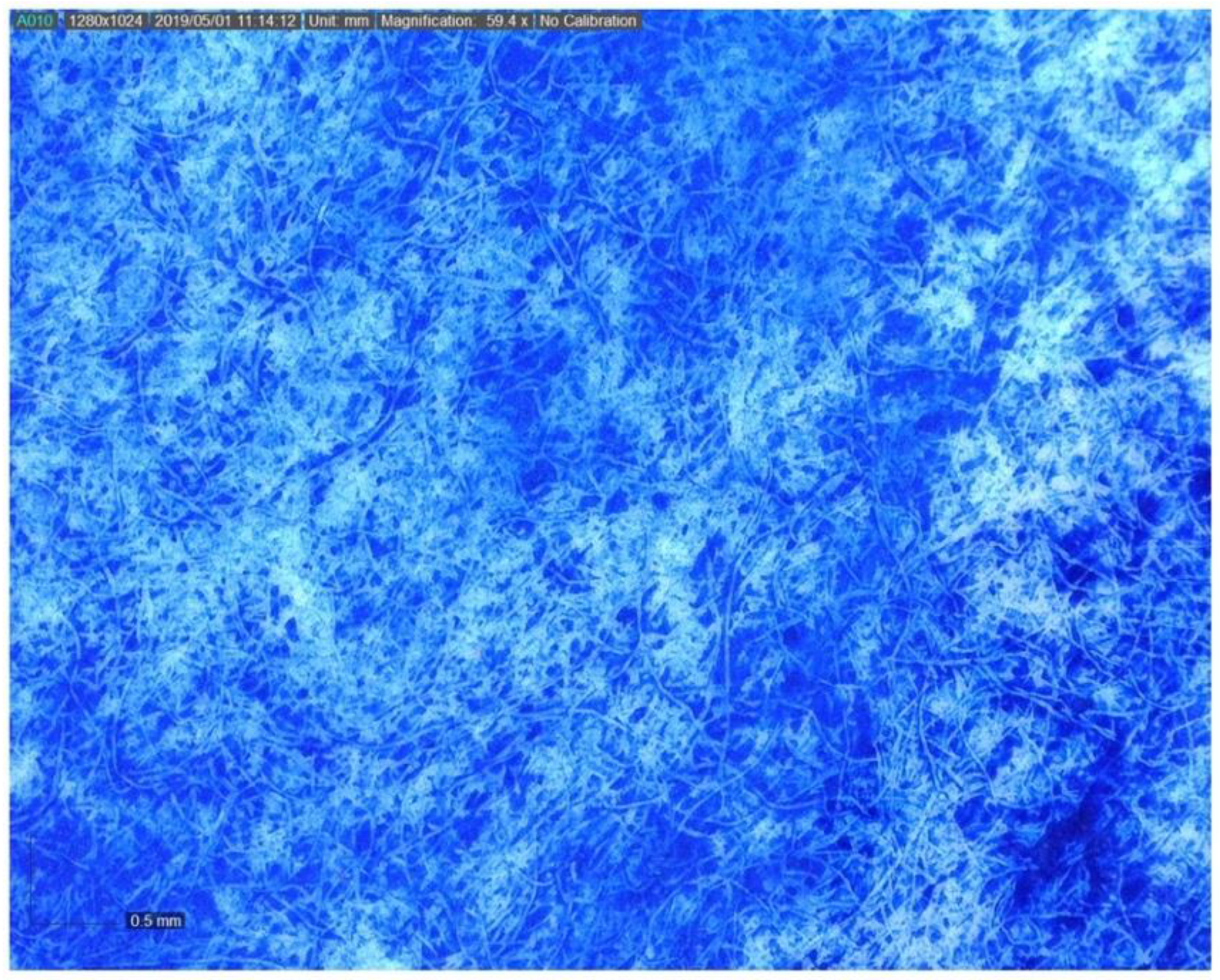 Sustainability 15 14699 g008