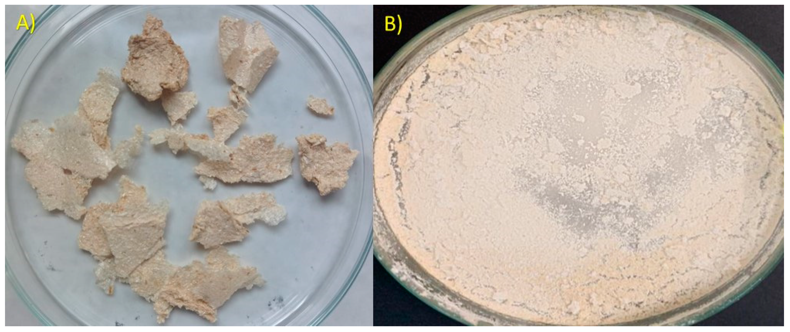 Sustainability 15 15102 g001