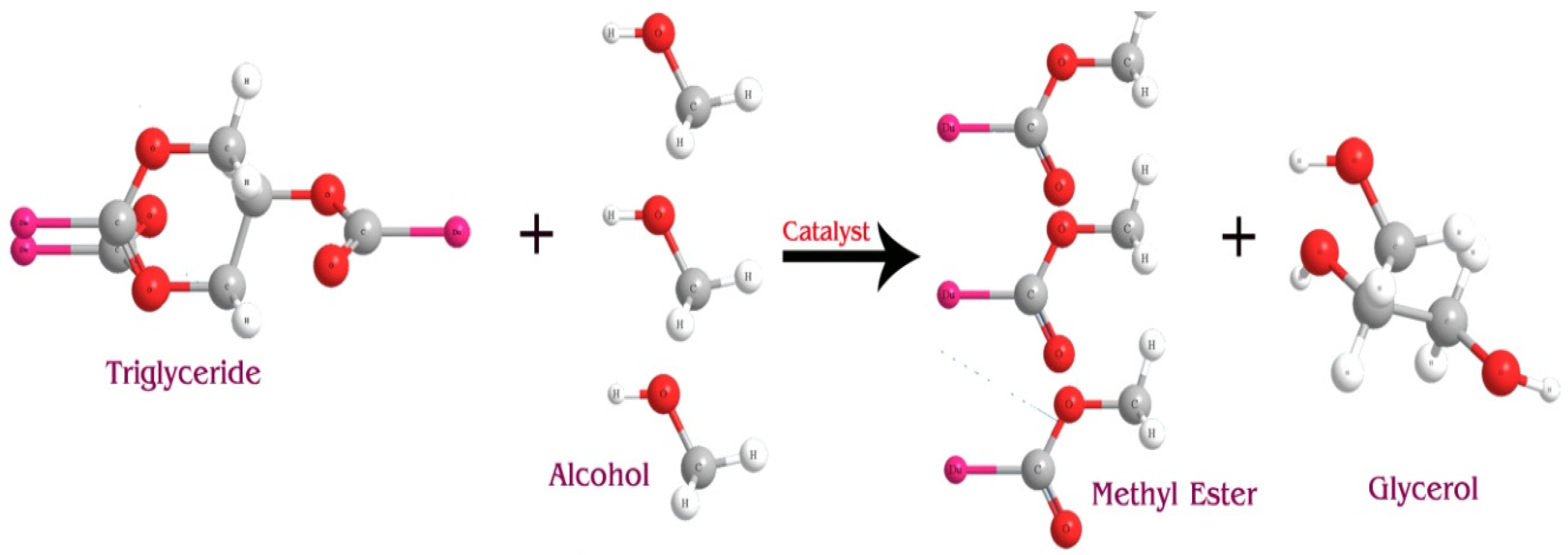 Sustainability 15 15222 g001