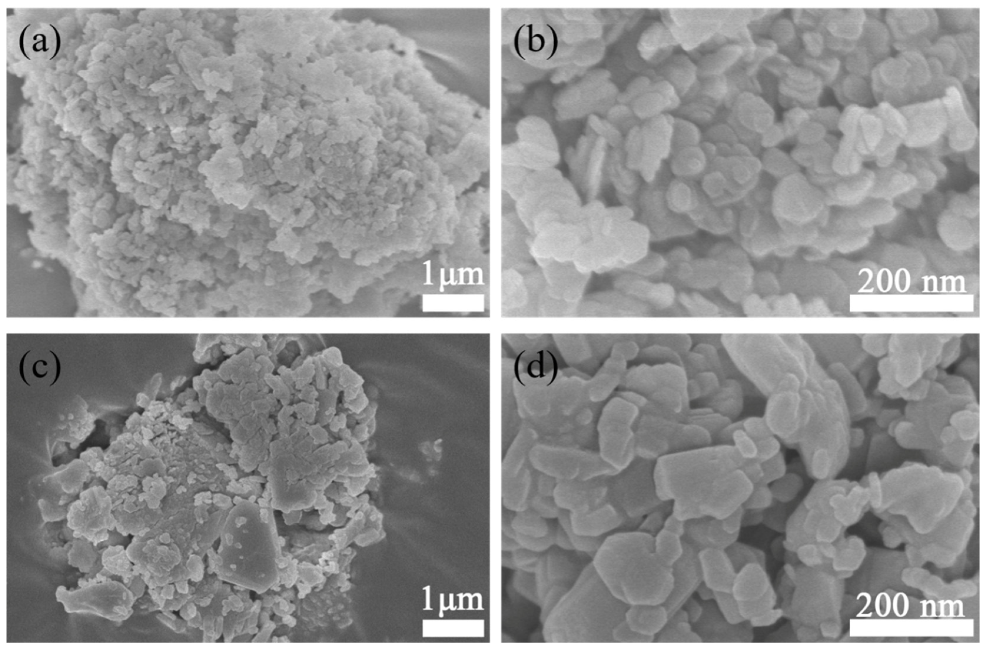 Sustainability 15 15246 g004