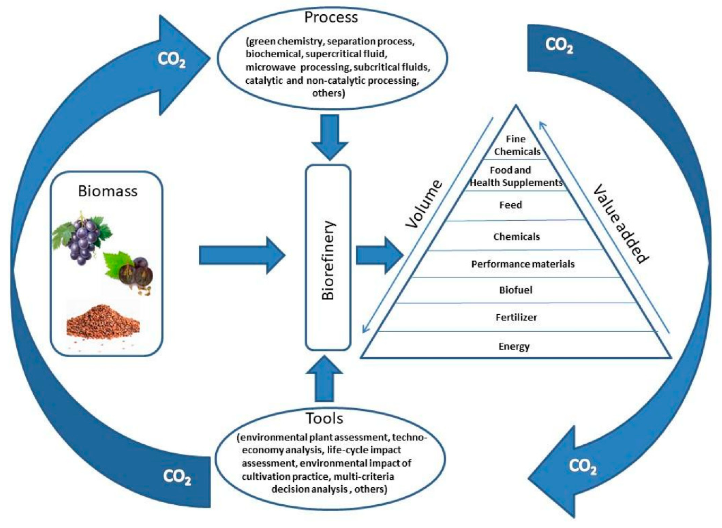 Sustainability 16 01526 g001