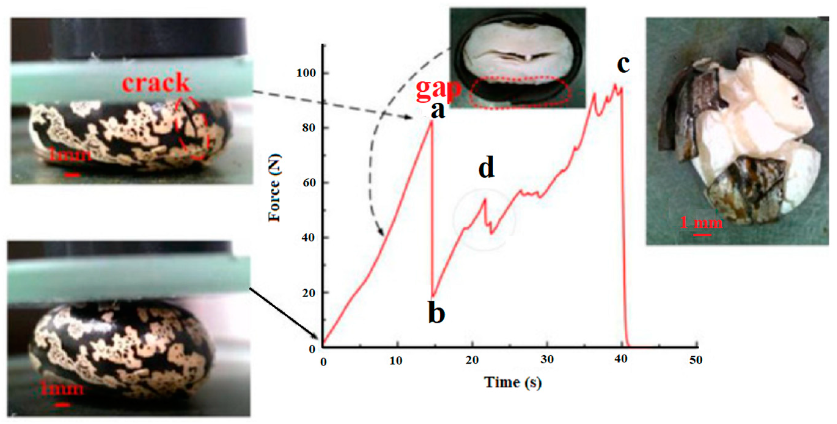Sustainability 16 01526 g004
