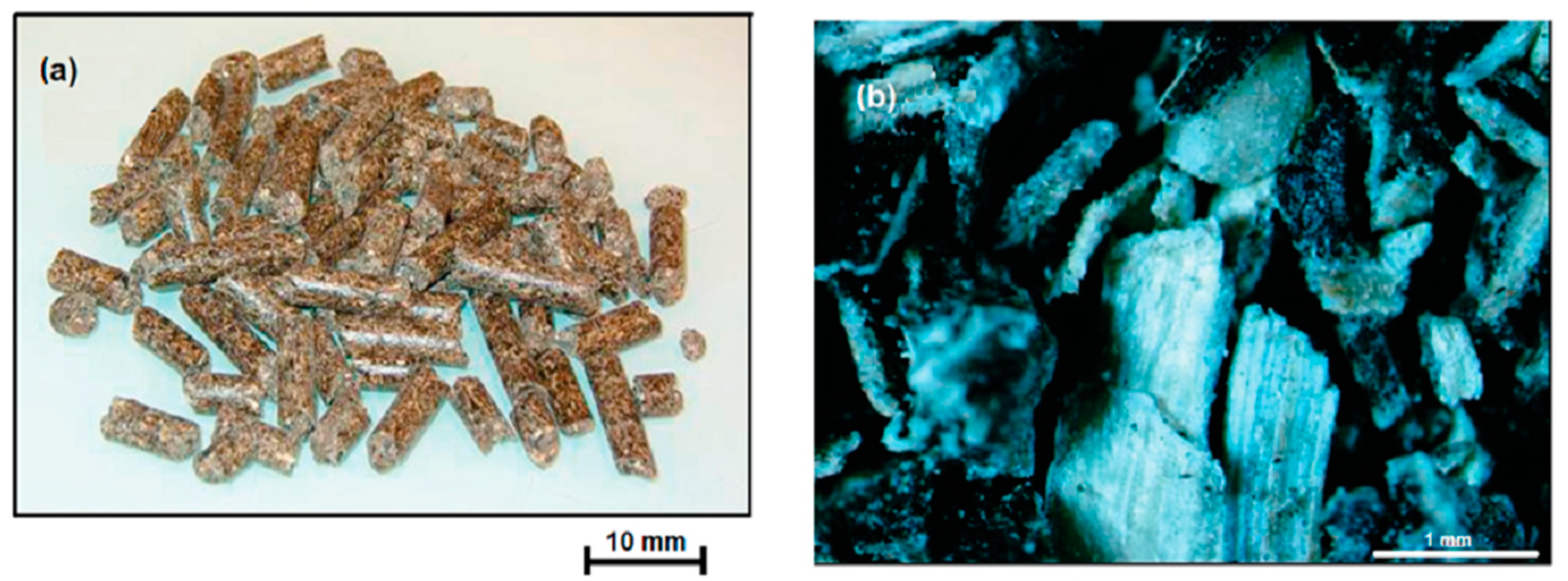 Sustainability 16 01526 g006