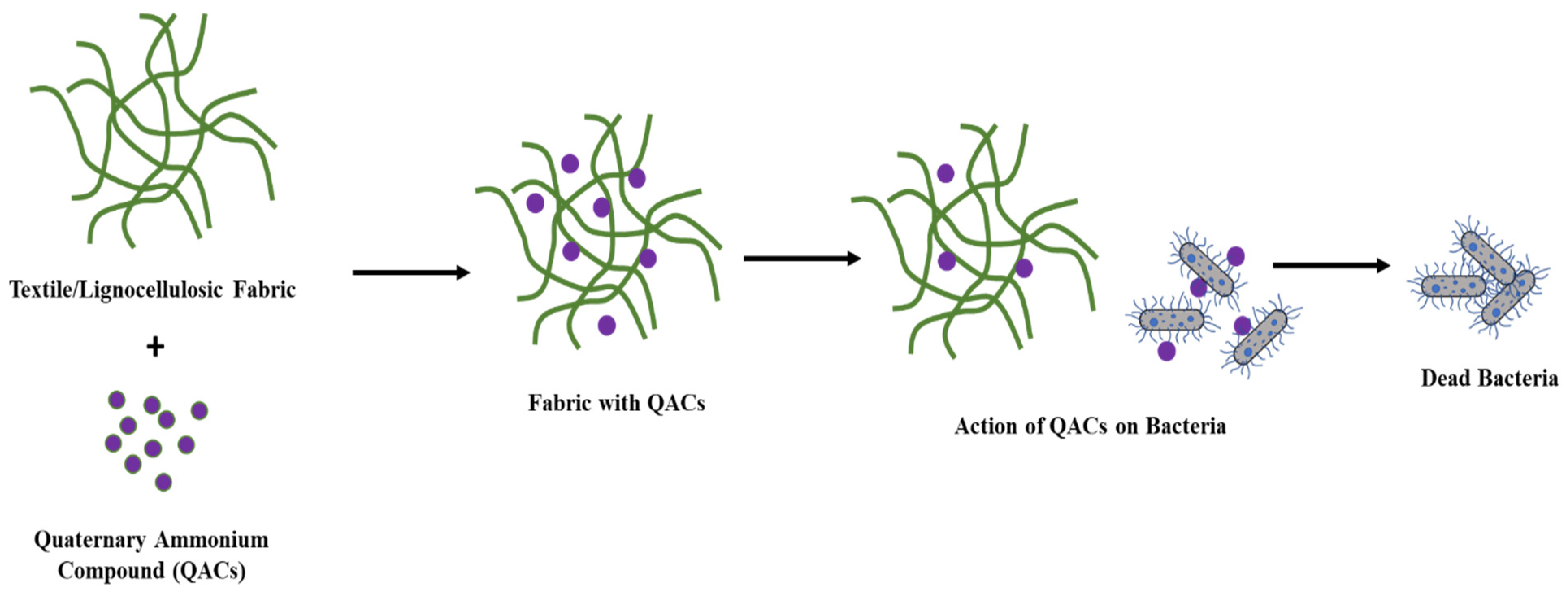 Sustainability 16 01586 g001