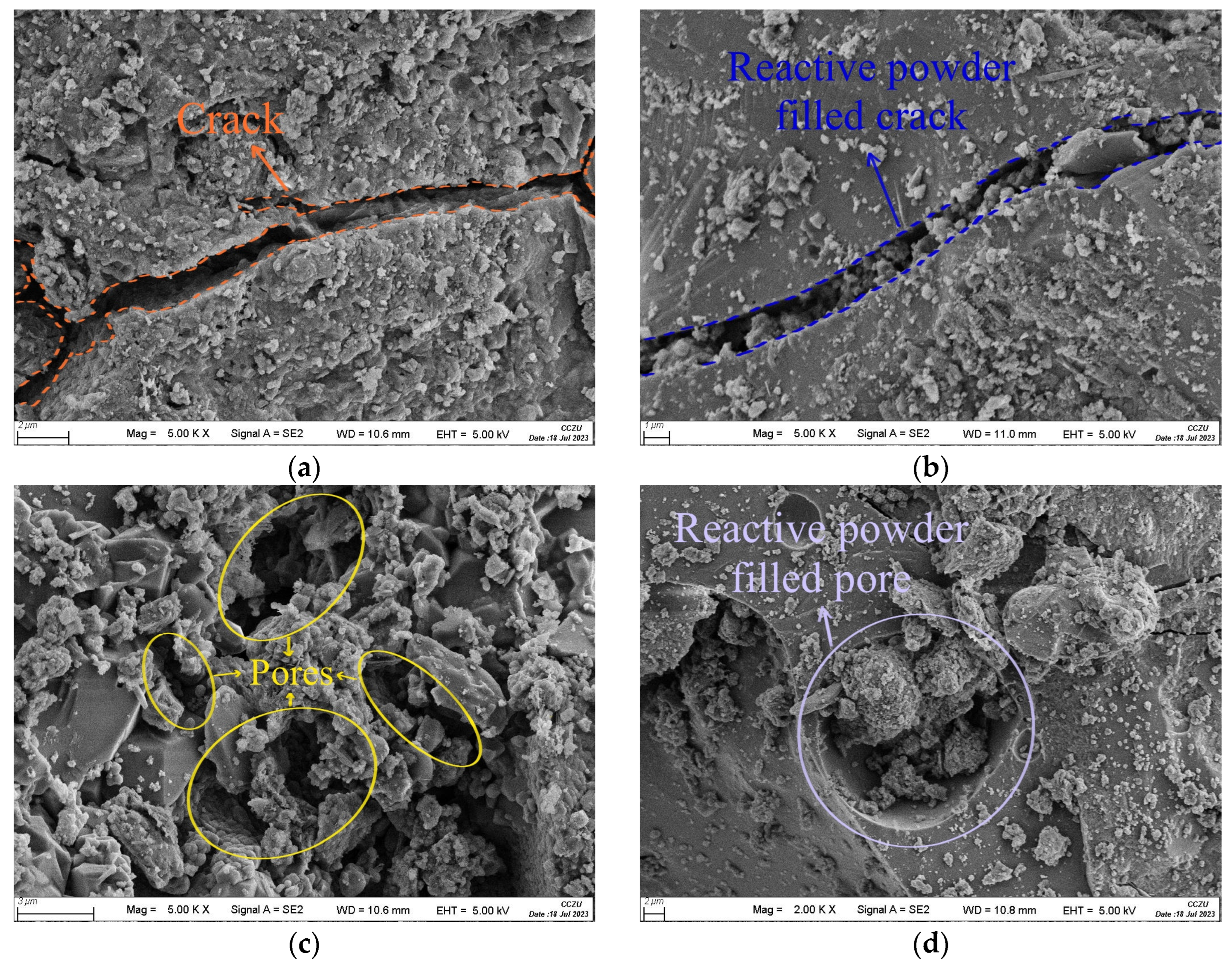 Sustainability 16 02084 g010