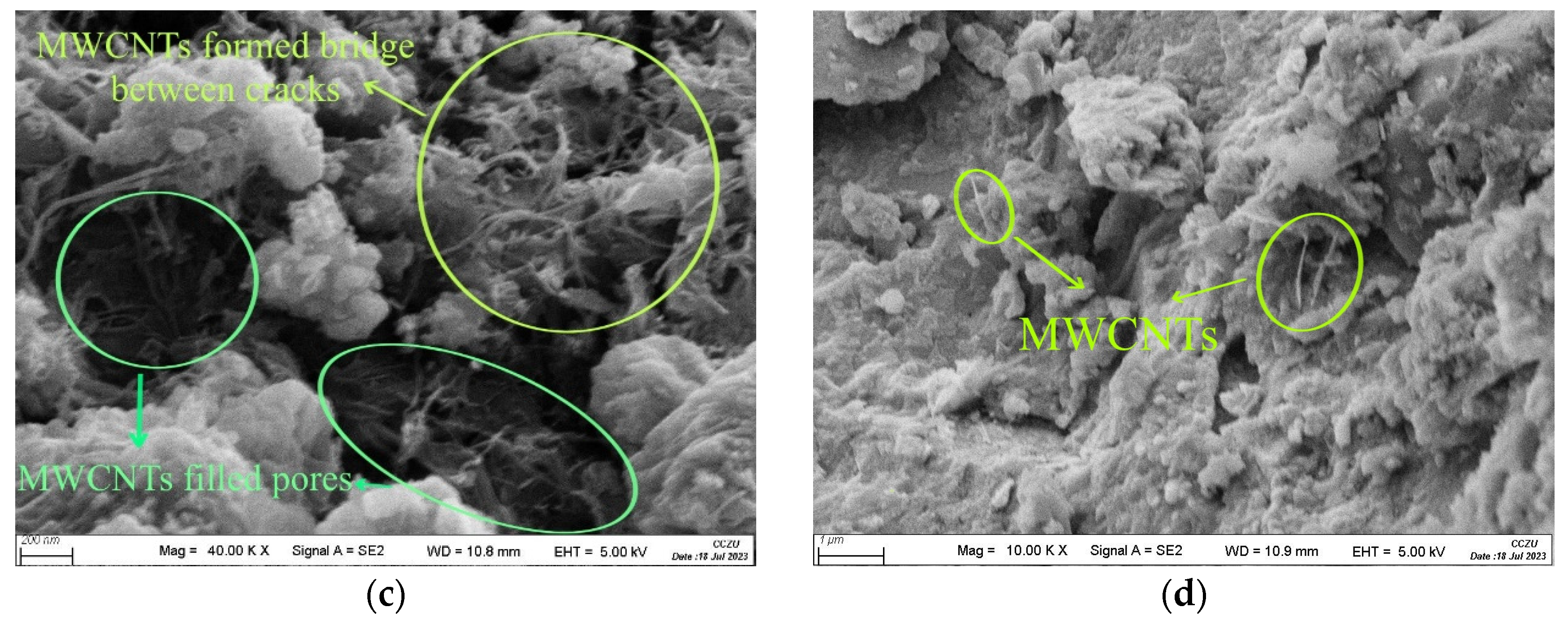 Sustainability 16 02084 g011b